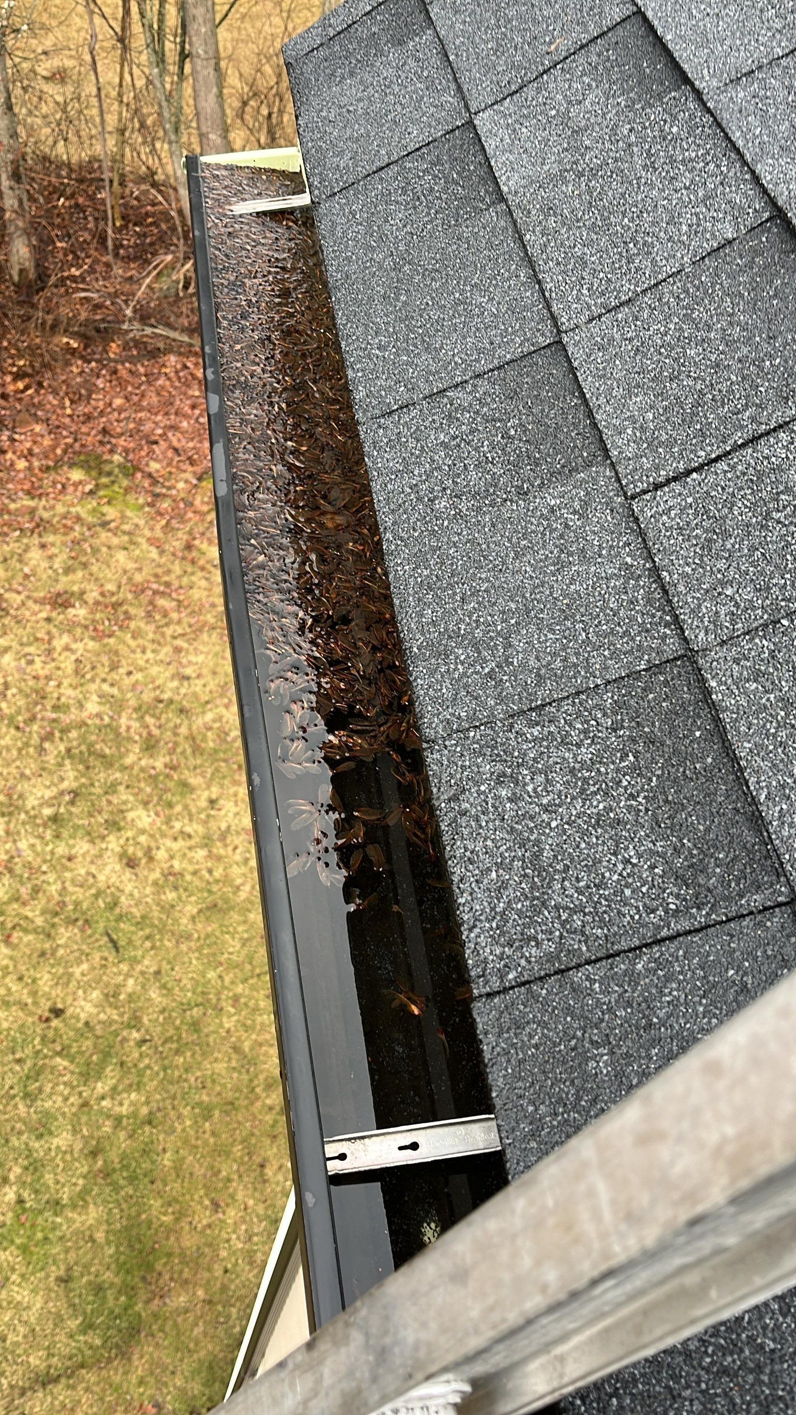 Gutter Cleaning  by JOHNNYS PRO