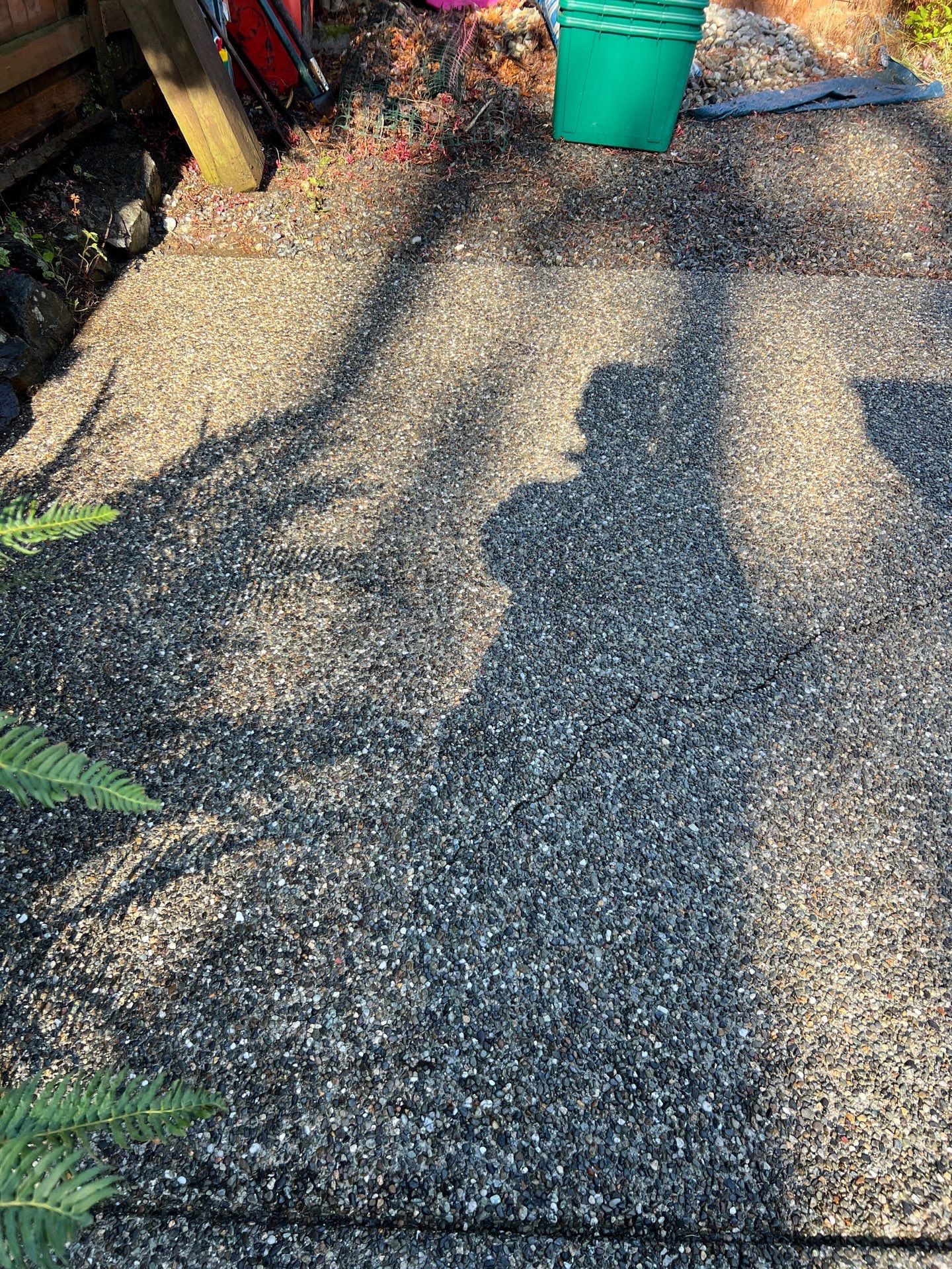 Joan | Concrete Driveway & Walkway   by Jireh Asphalt & Concrete Inc 