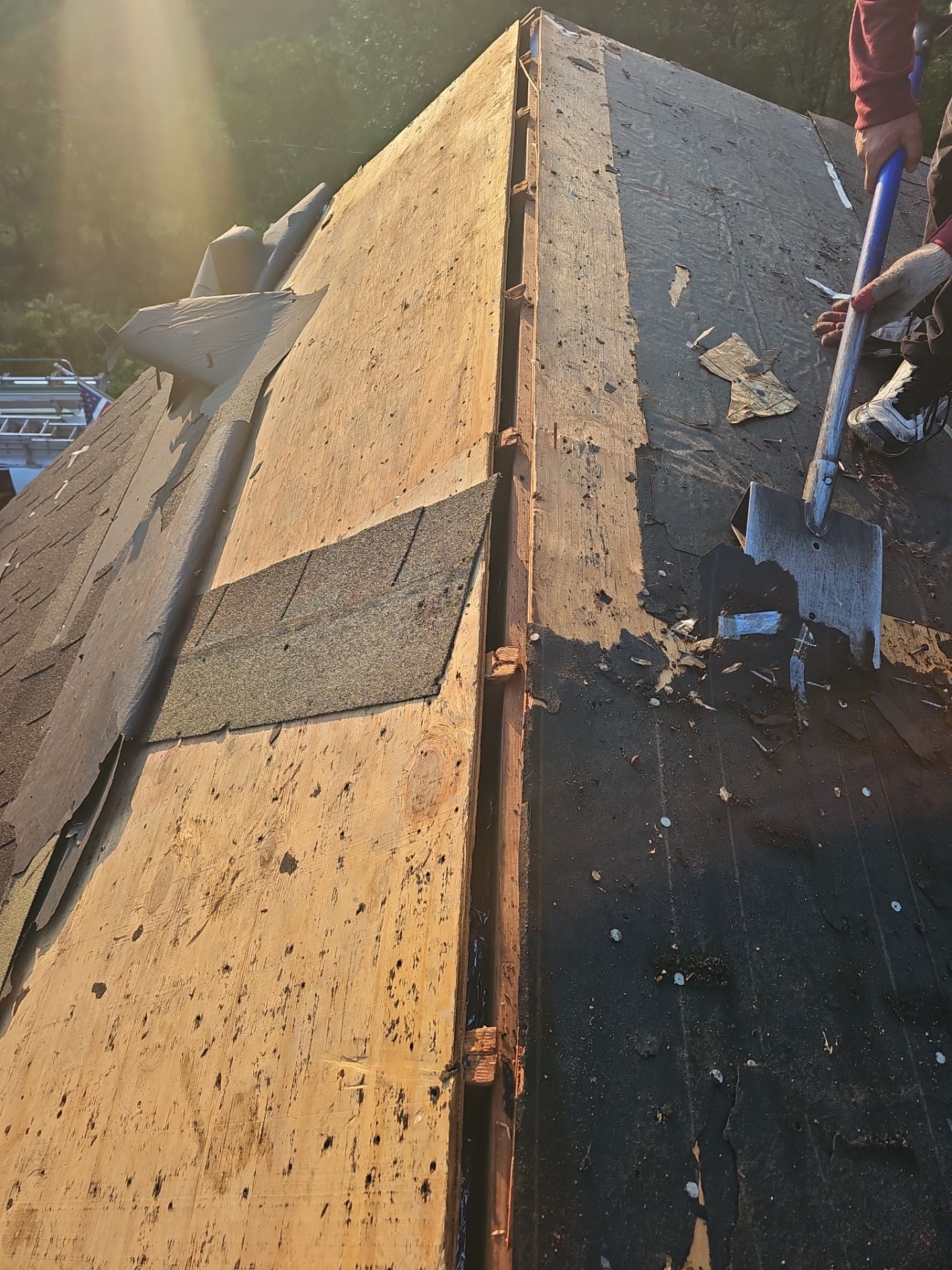 Roof Replacement by Winchester Roofing