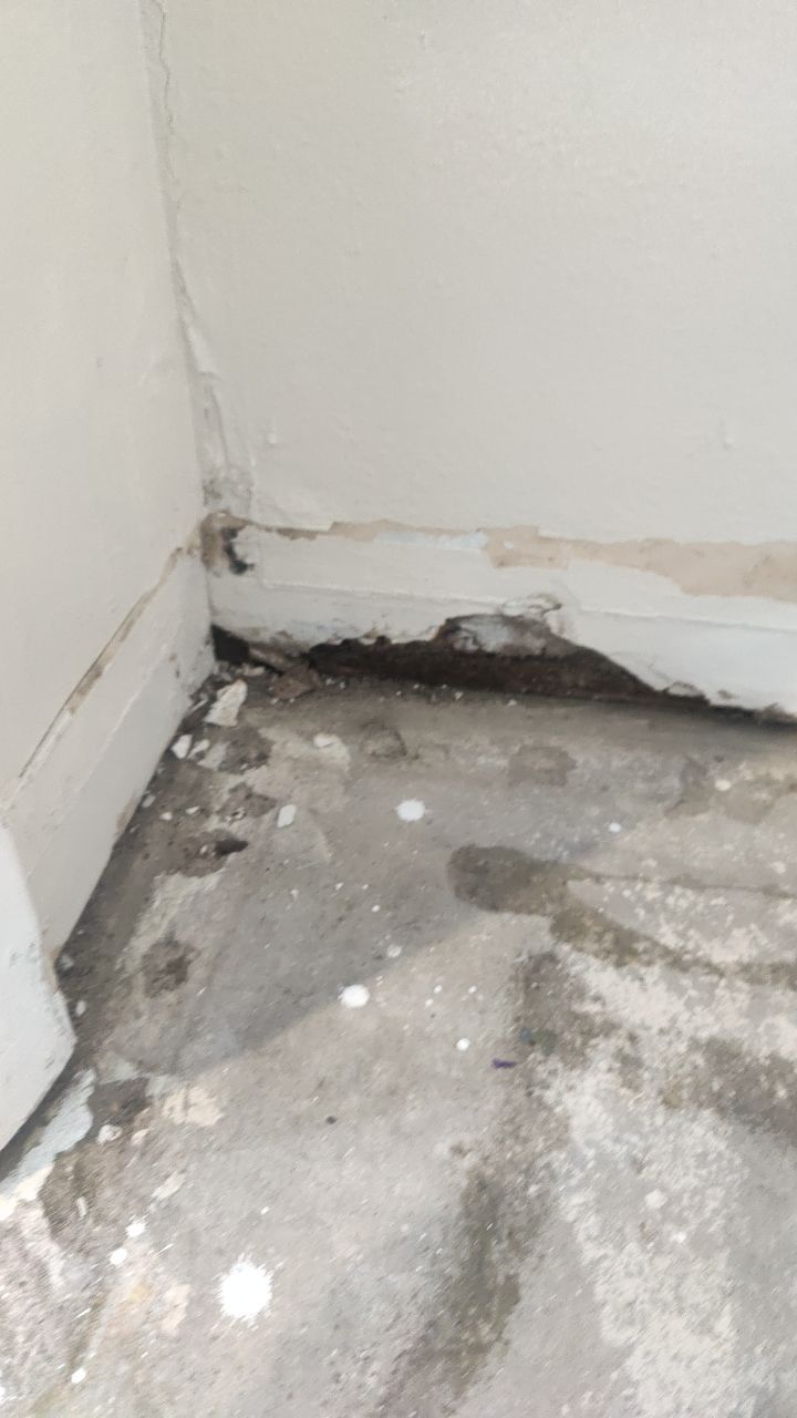 Mold Remediation by Accountable Home Services