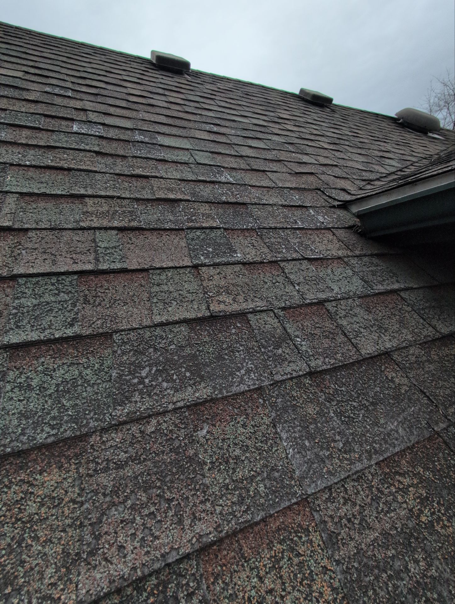 Roof Replacement in Nixa by Table Rock Design + Build