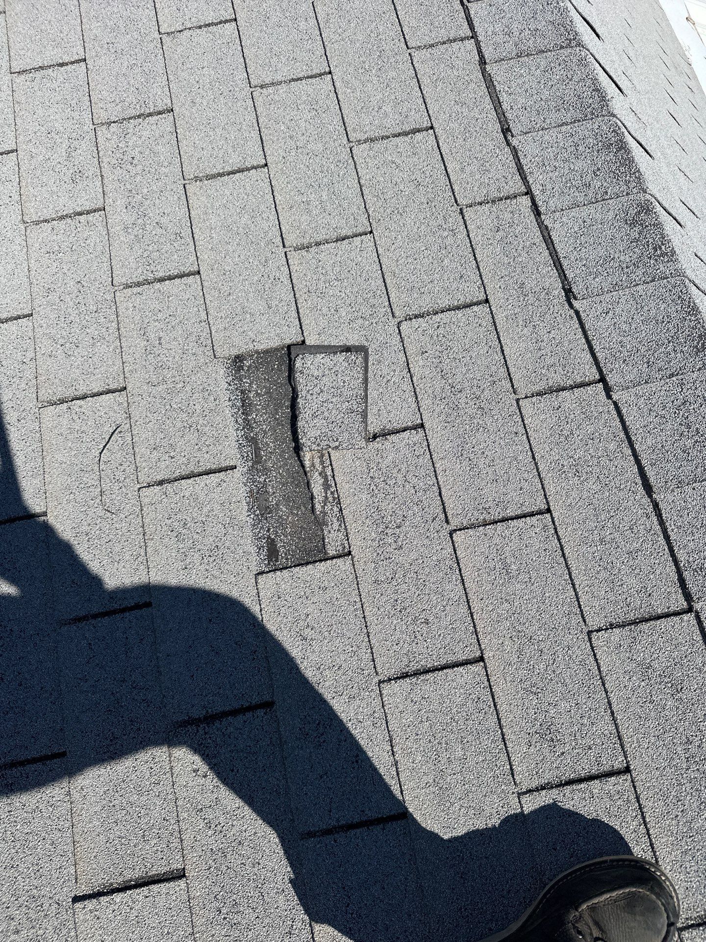 Silver Birch Shingles by Reimagine Roofing