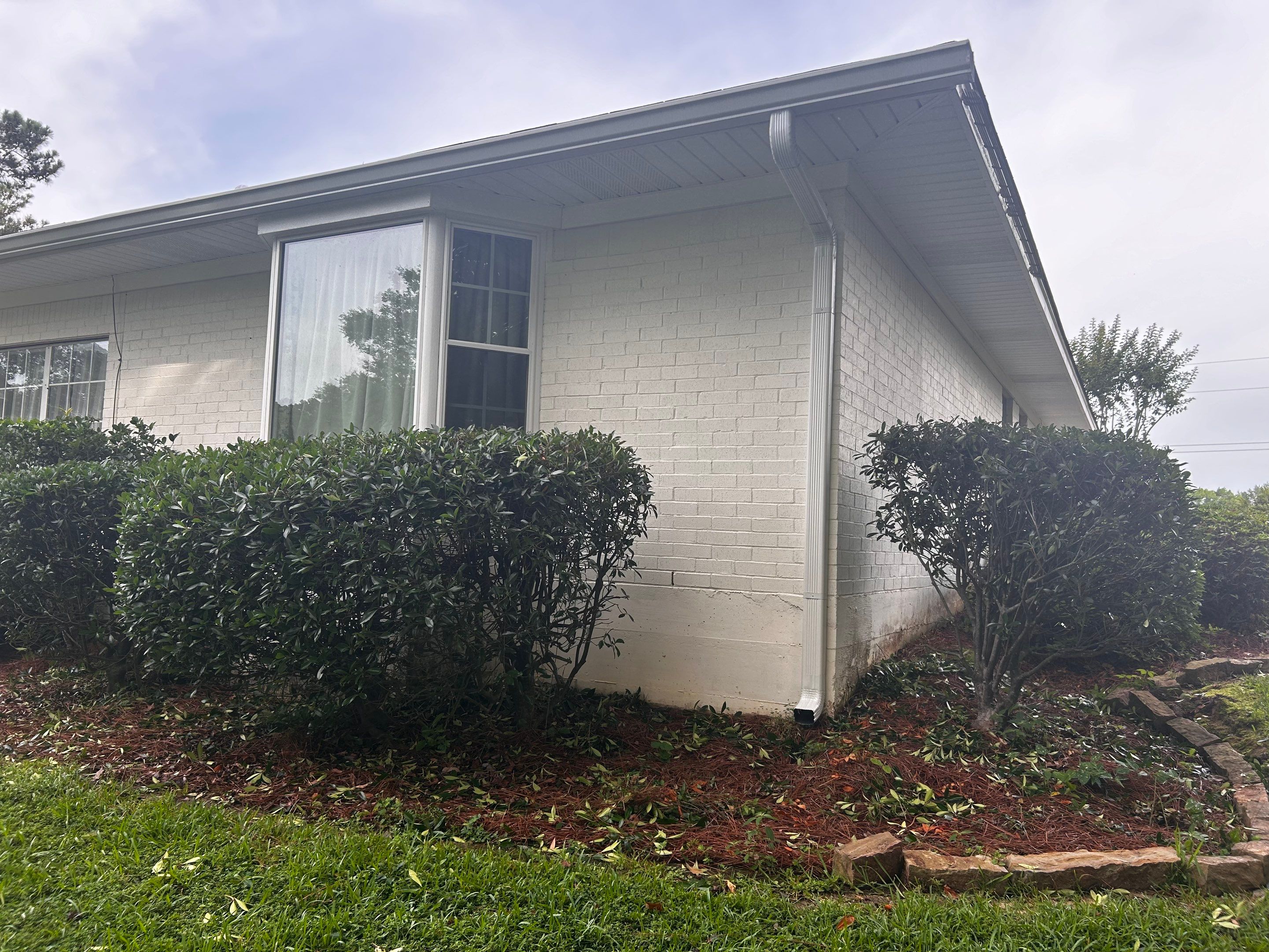 Total House and Yard Clean Up by College Bros Outdoor services