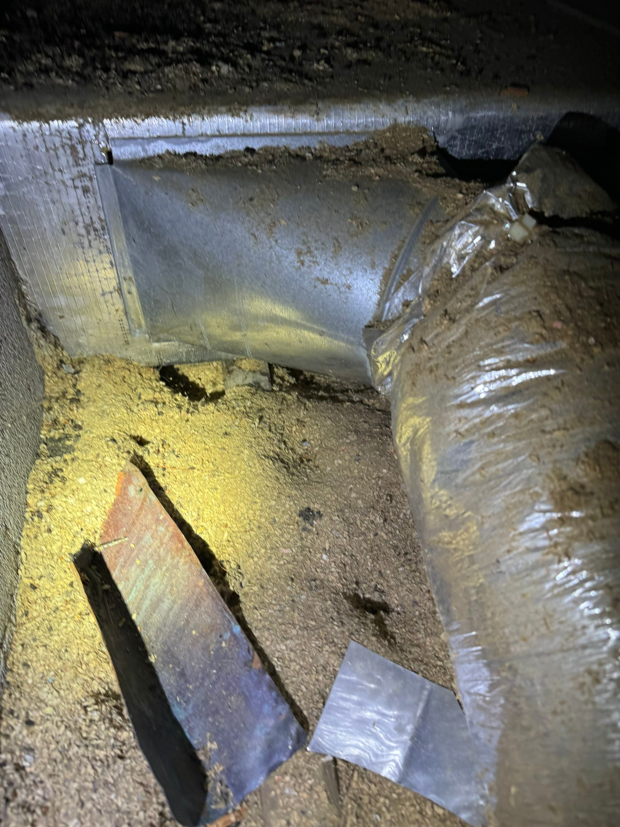 Mold Remediation (Basement) using Home Guarantee by Home Guarantee, LLC