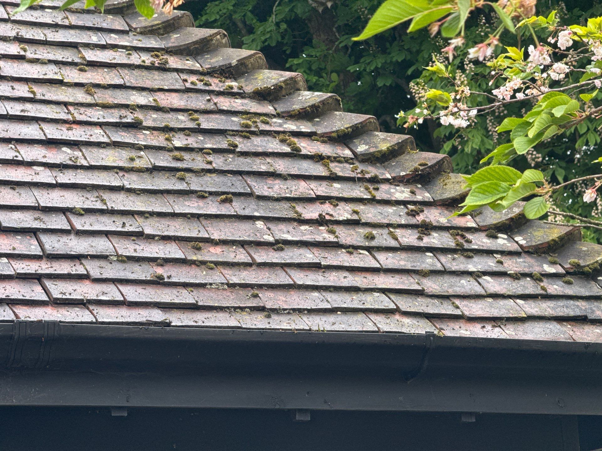Roof Clean - Patio Clean using 18inch Whirlaway FSC by Ges Exterior Cleaning ltd