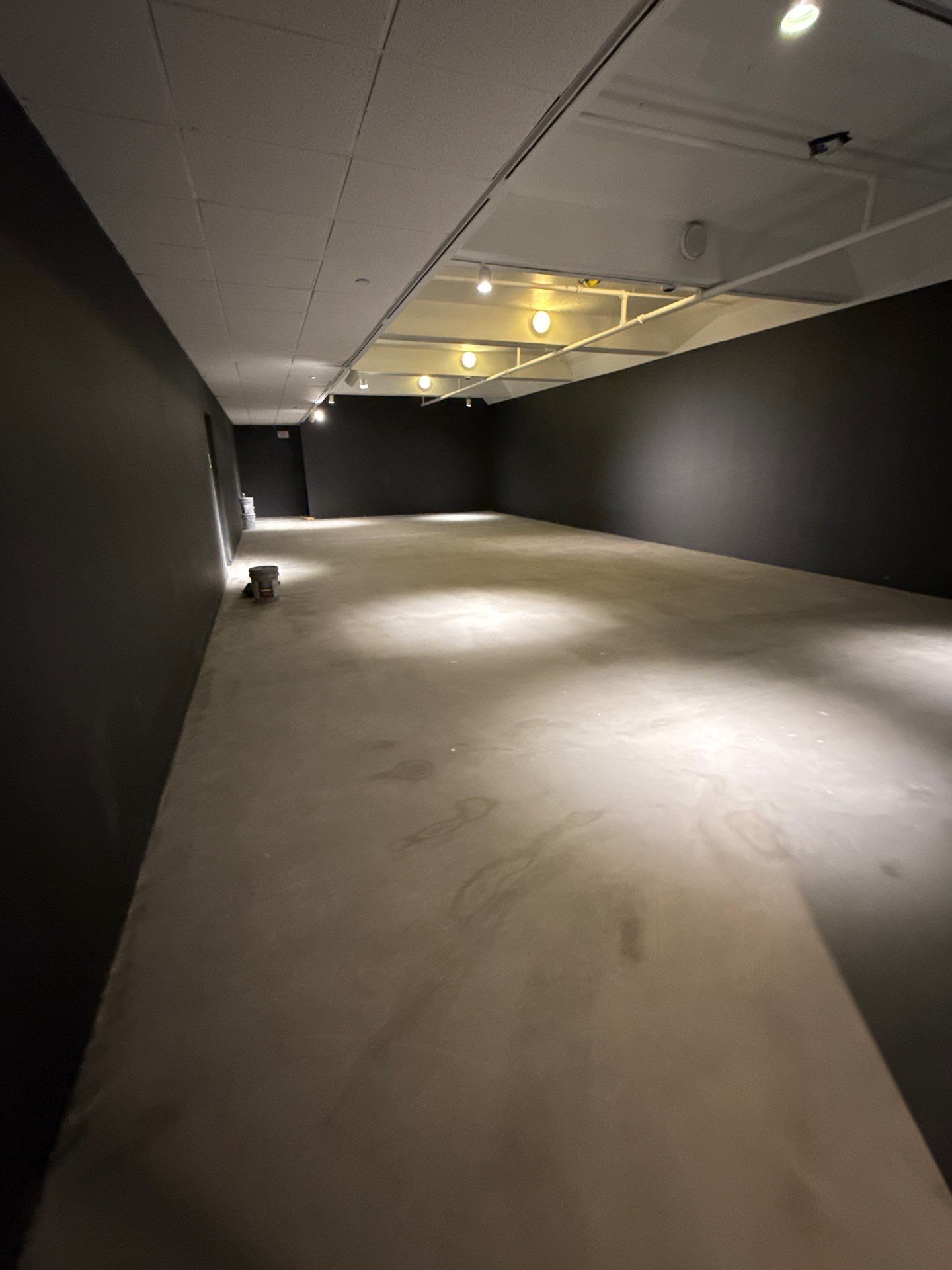 Grind off 20 layers of Paint Project in Pittsburgh by Floors in a Day, Inc