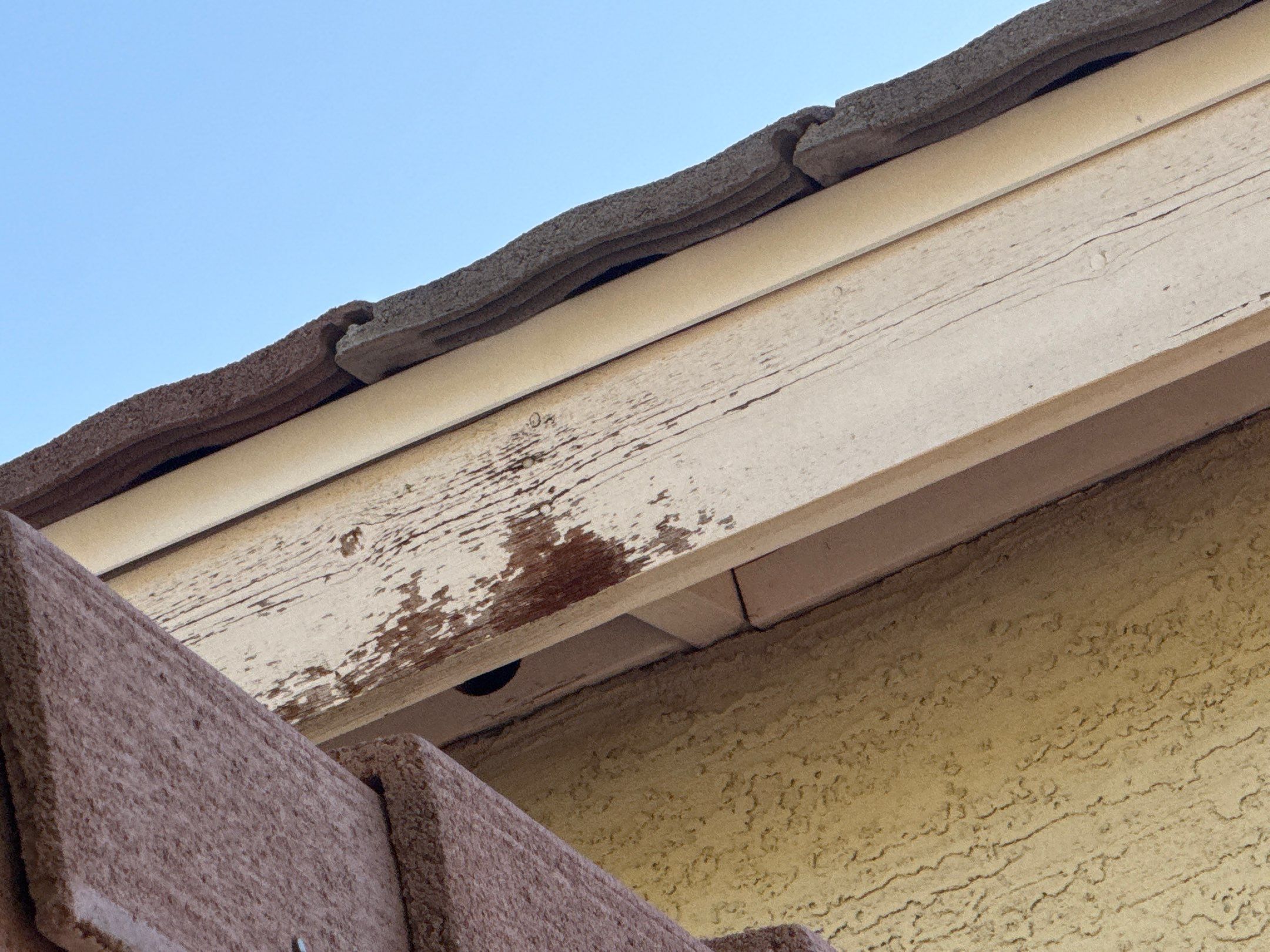 Exterior Painting - Gilbert by Crash of Rhinos Painting & Garage Floors