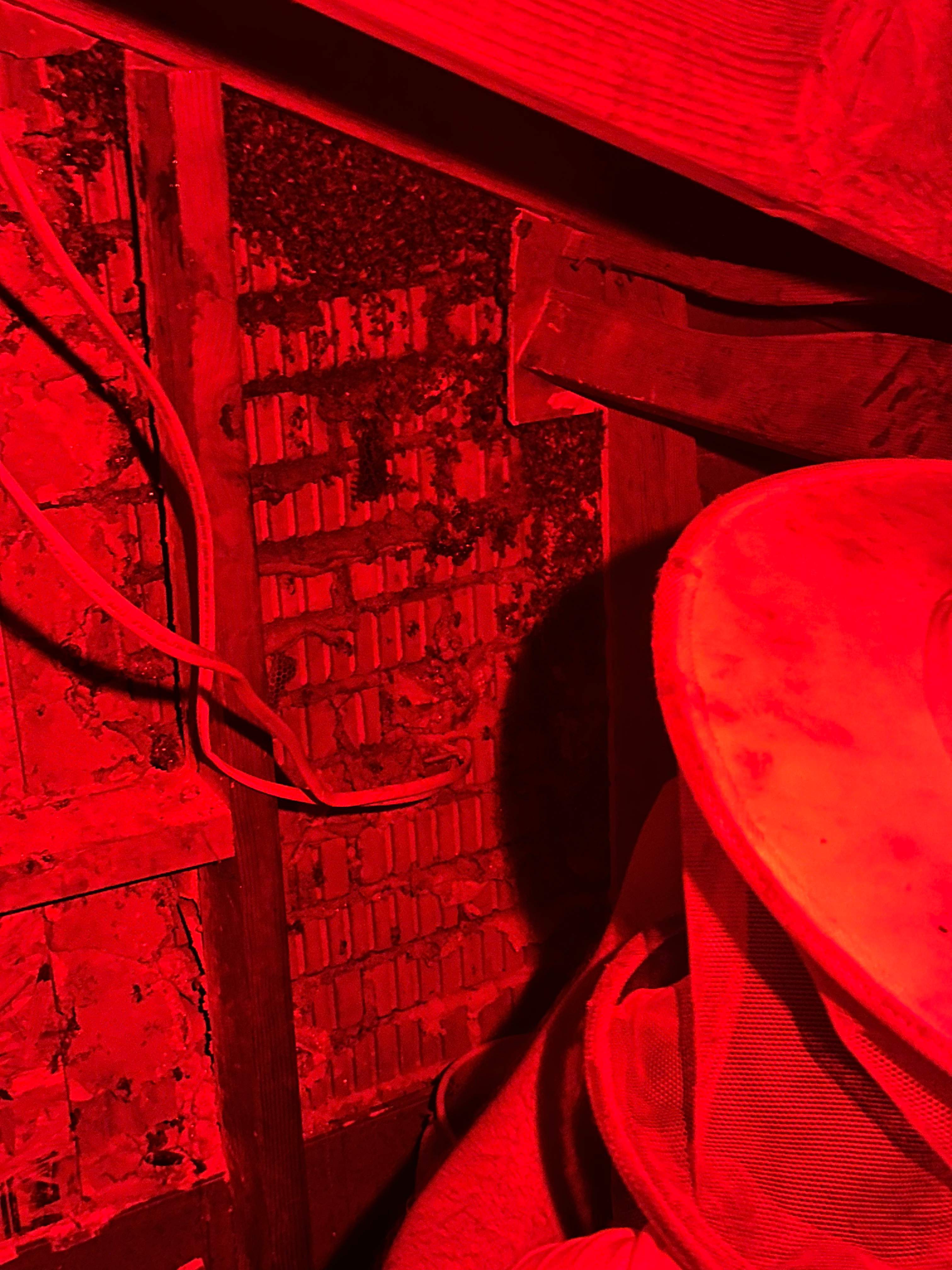 Red Light Attic by Rockwall Honey Bee Company