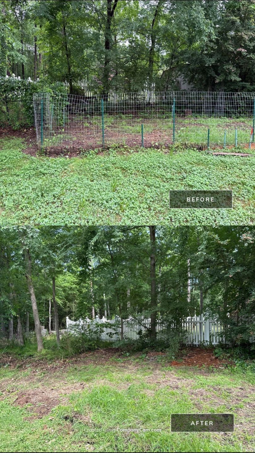 Project in Mint Hill by Badger Hauling