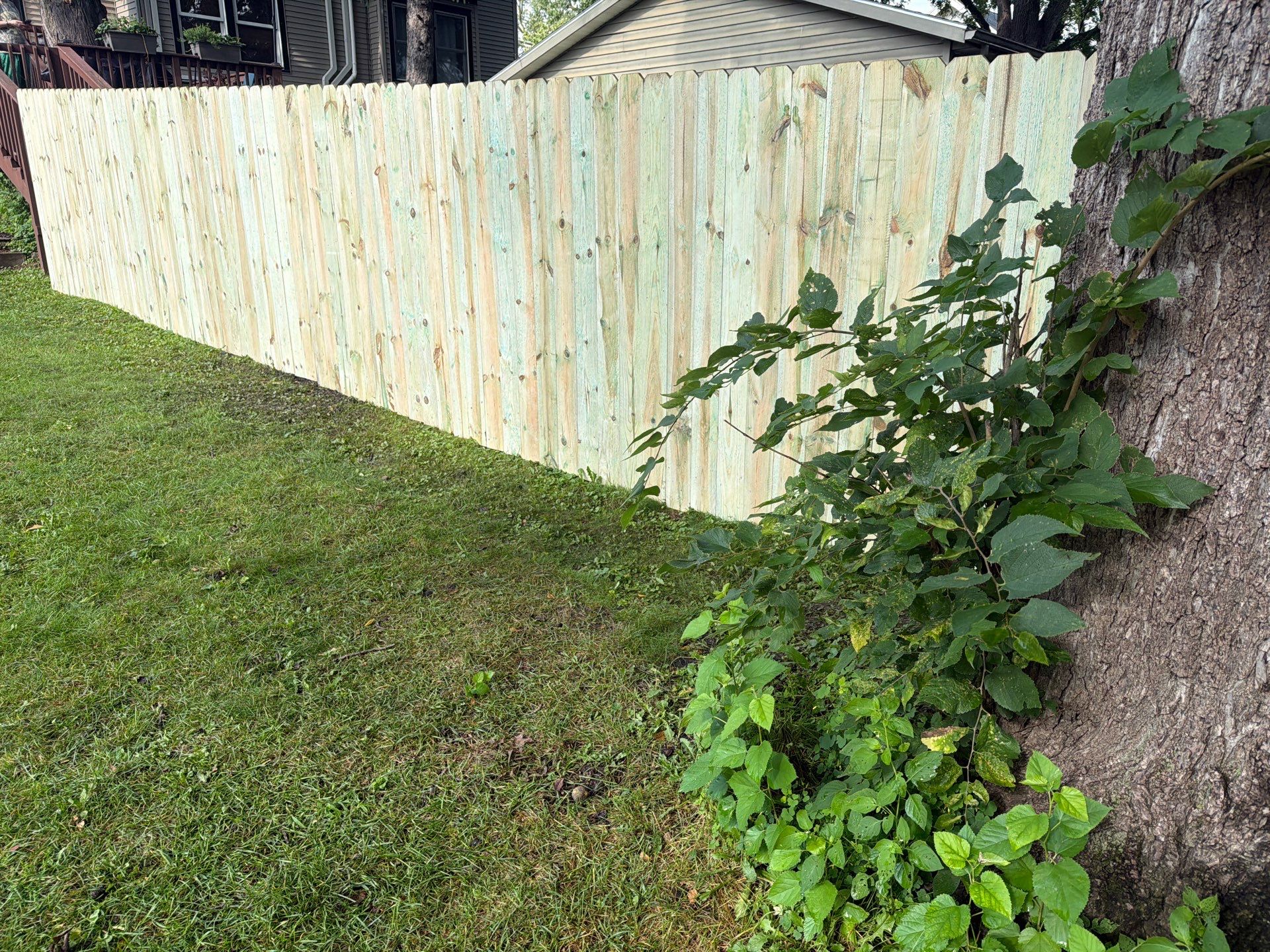 Pressure-Treated Pine Privacy Fence Installation in Cedar Falls by Perfect Picket Fence and Stain