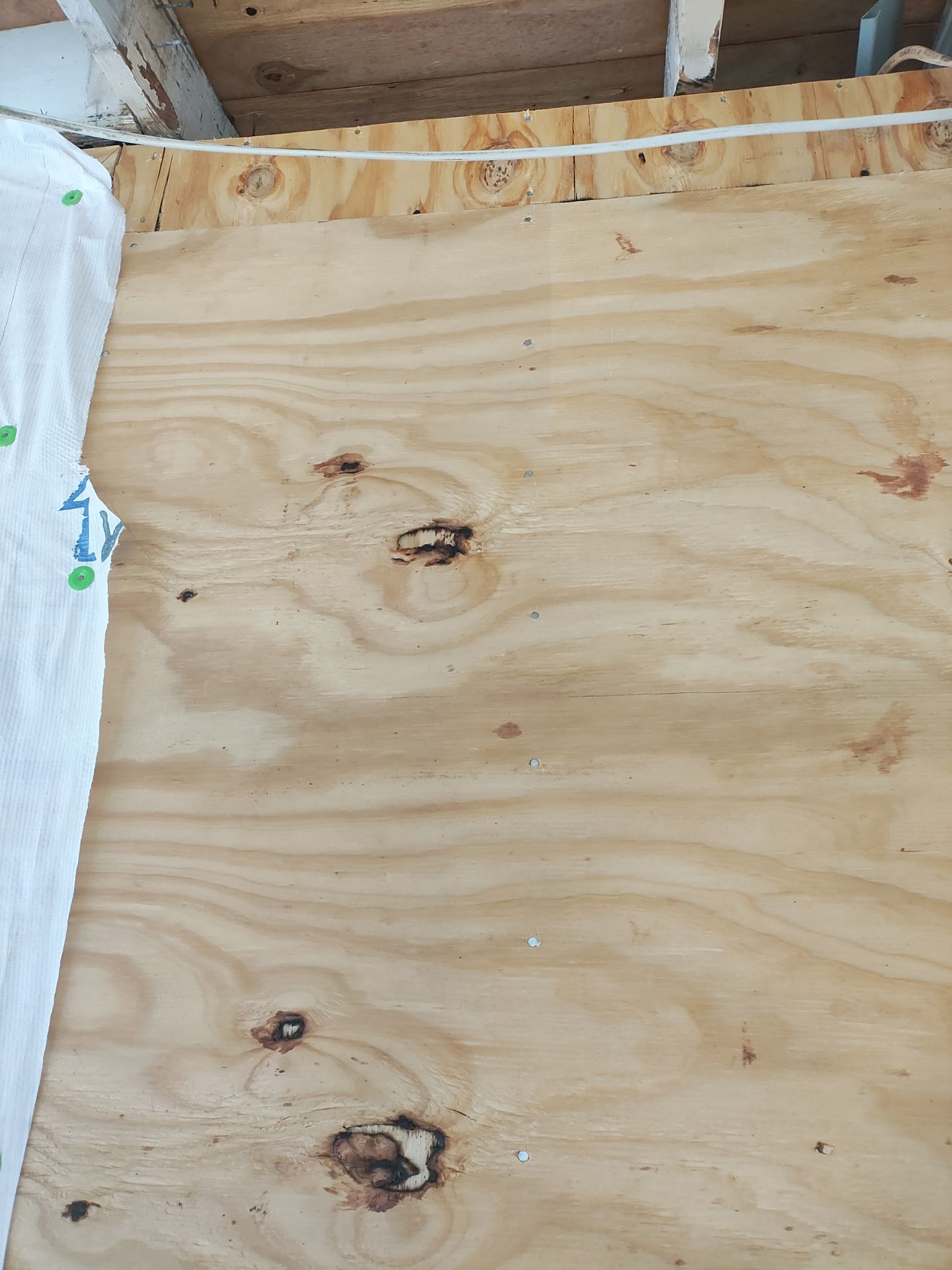 Green with Envy by Bayfront Roofing and Construction