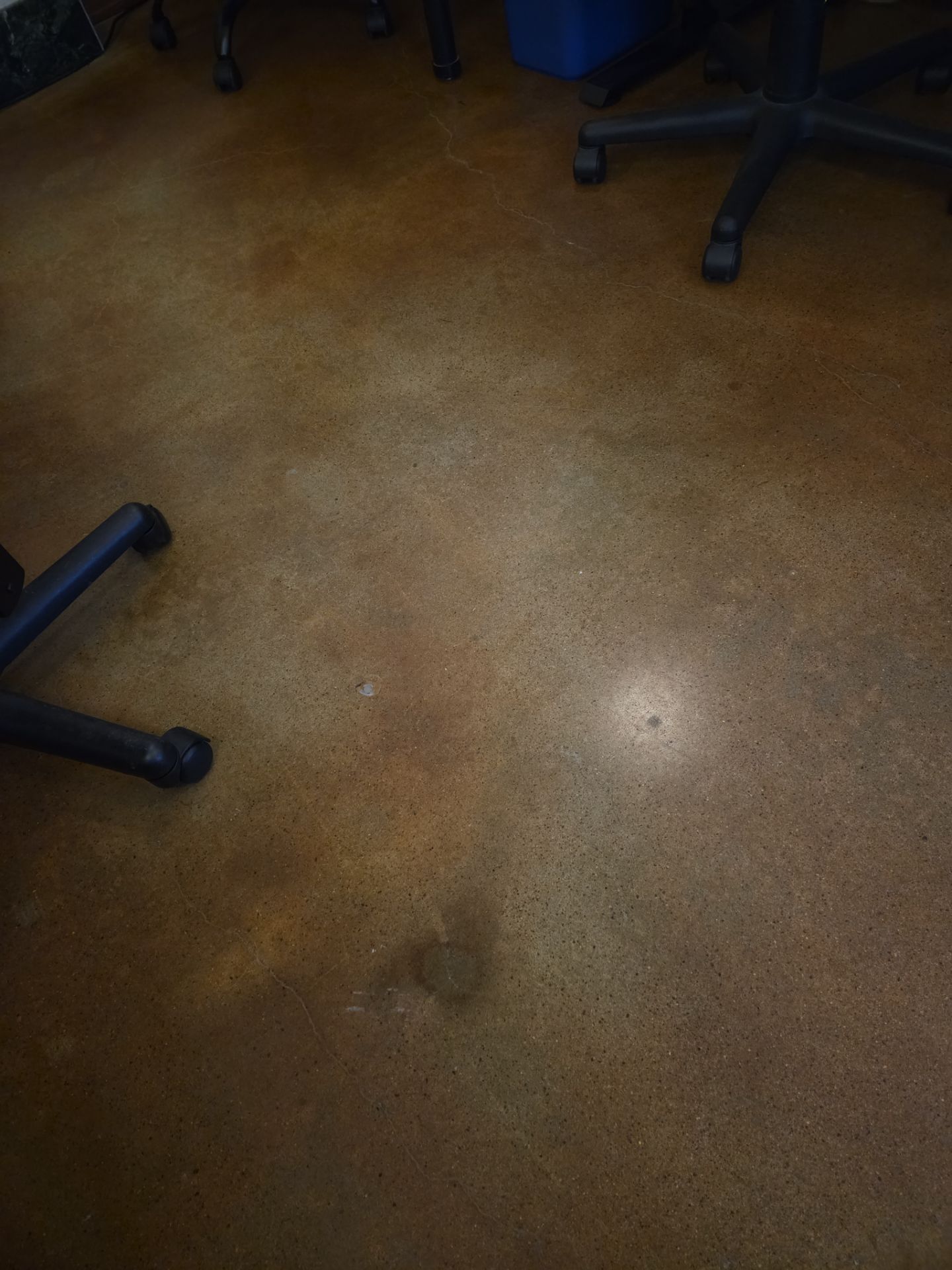 Bellingham Co-working Space Fit-Out by CompanyCam