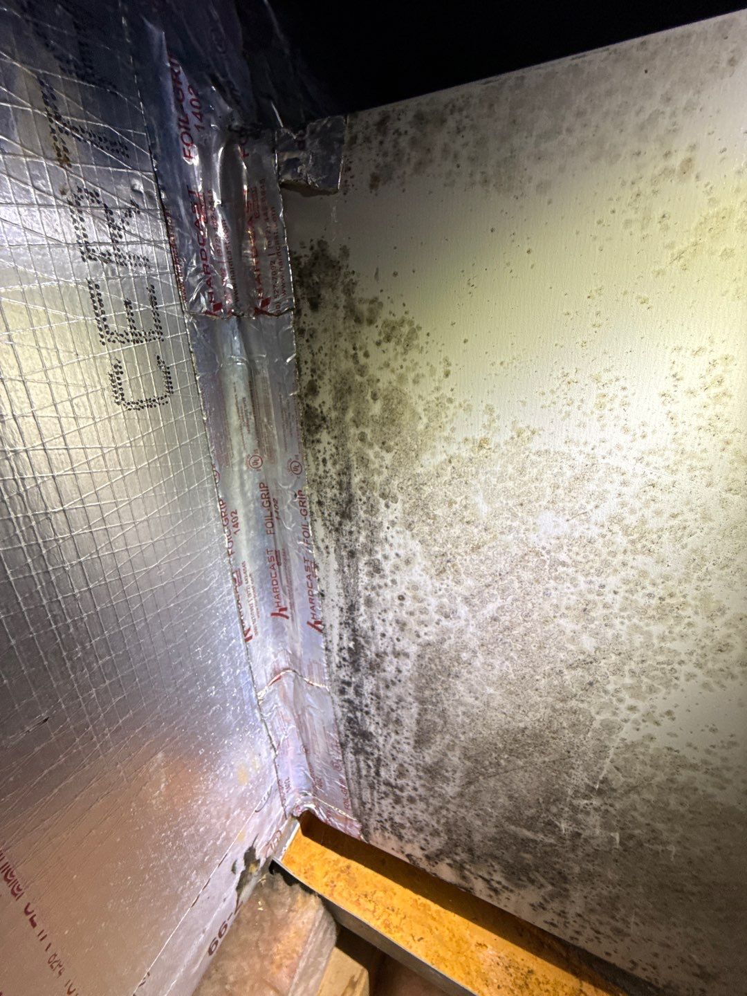 Mold in Air Ducts Remediation by Healthy Home Solutions