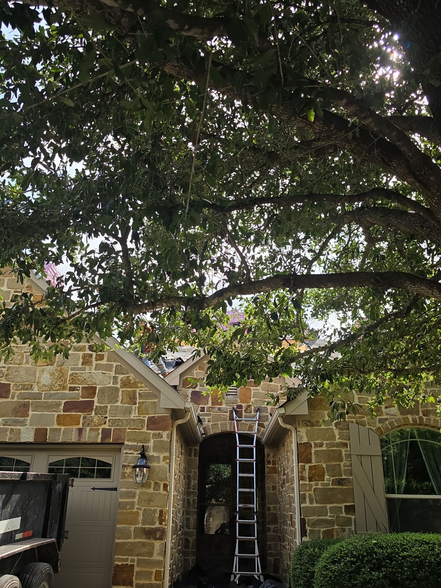 56 Squares in Round Rock by REPS OF TEXAS