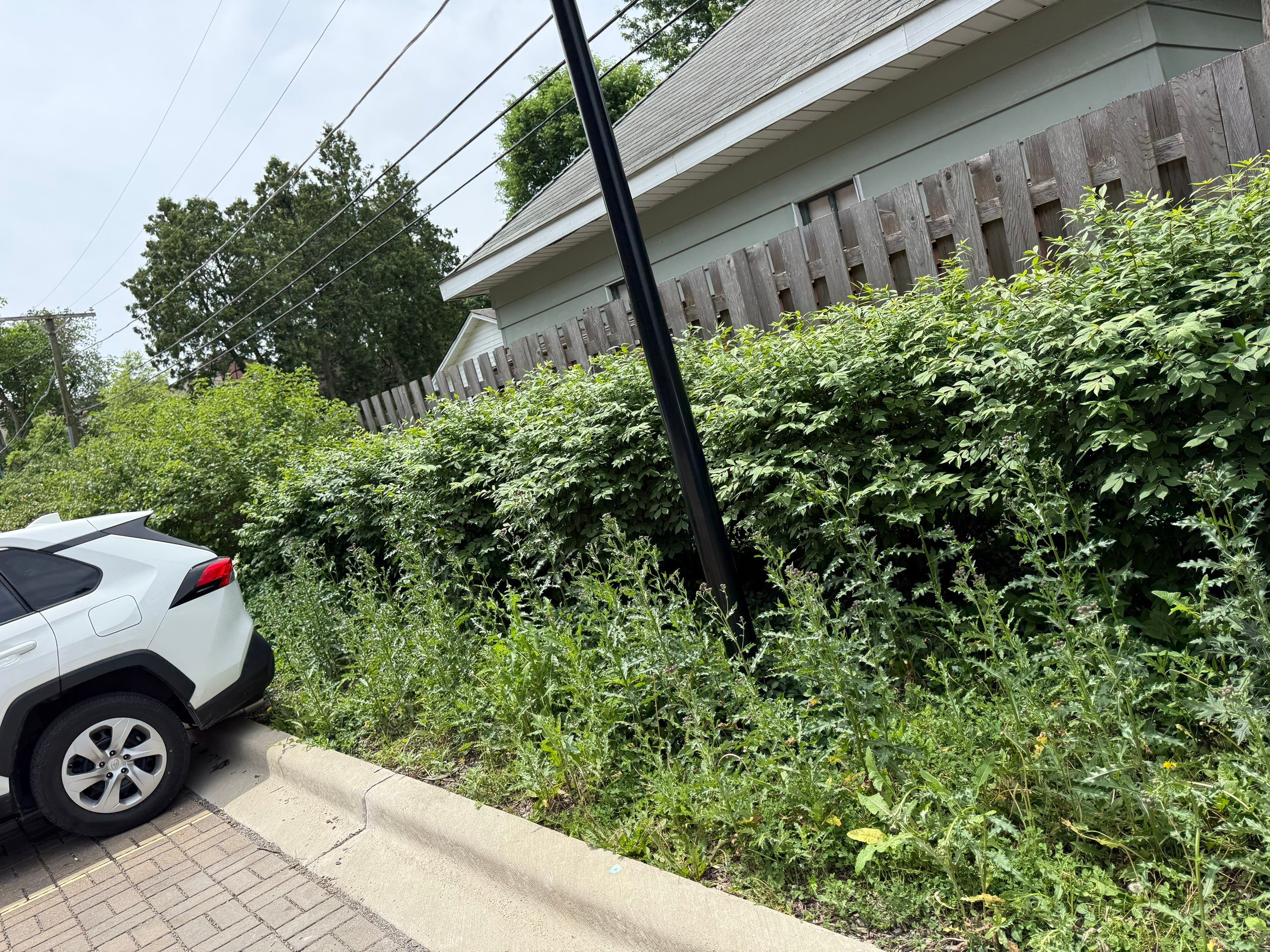 Mirela H. - Mount Prospect, IL by A&N
