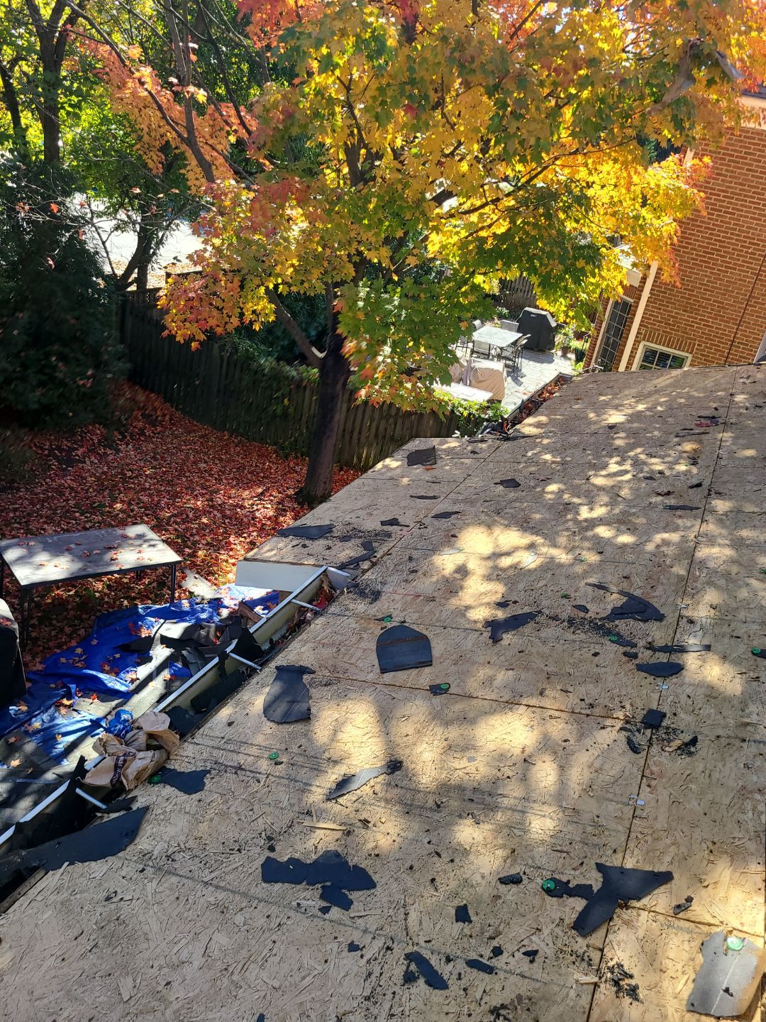 Alexandria: Residential Roof Replacement with CertainTeed Landmark Pro Designer Shingles in Max Def Moire Black by RM Banning, Inc.