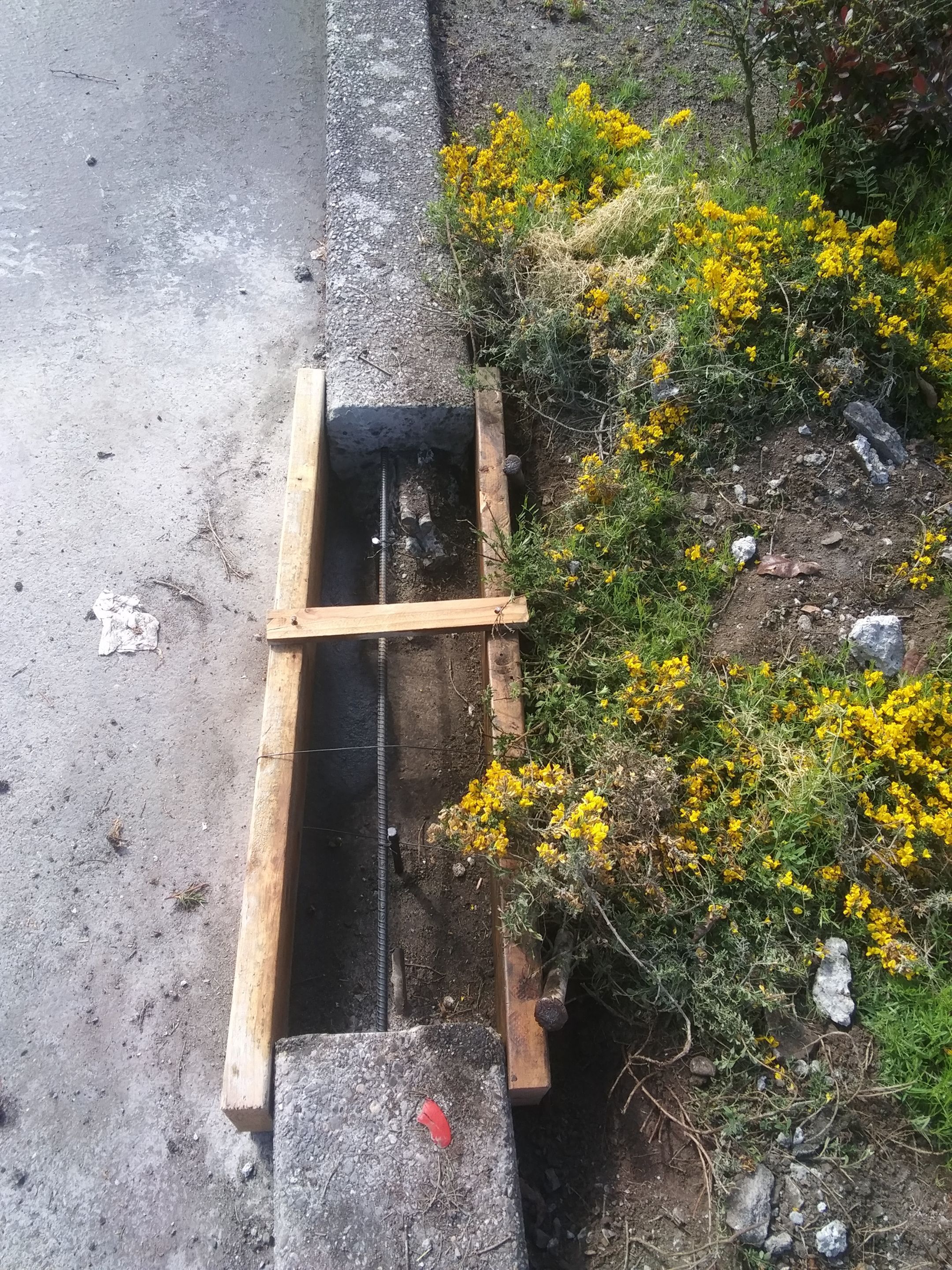 Amanda | Concrete Curb by Jireh Asphalt & Concrete Inc 