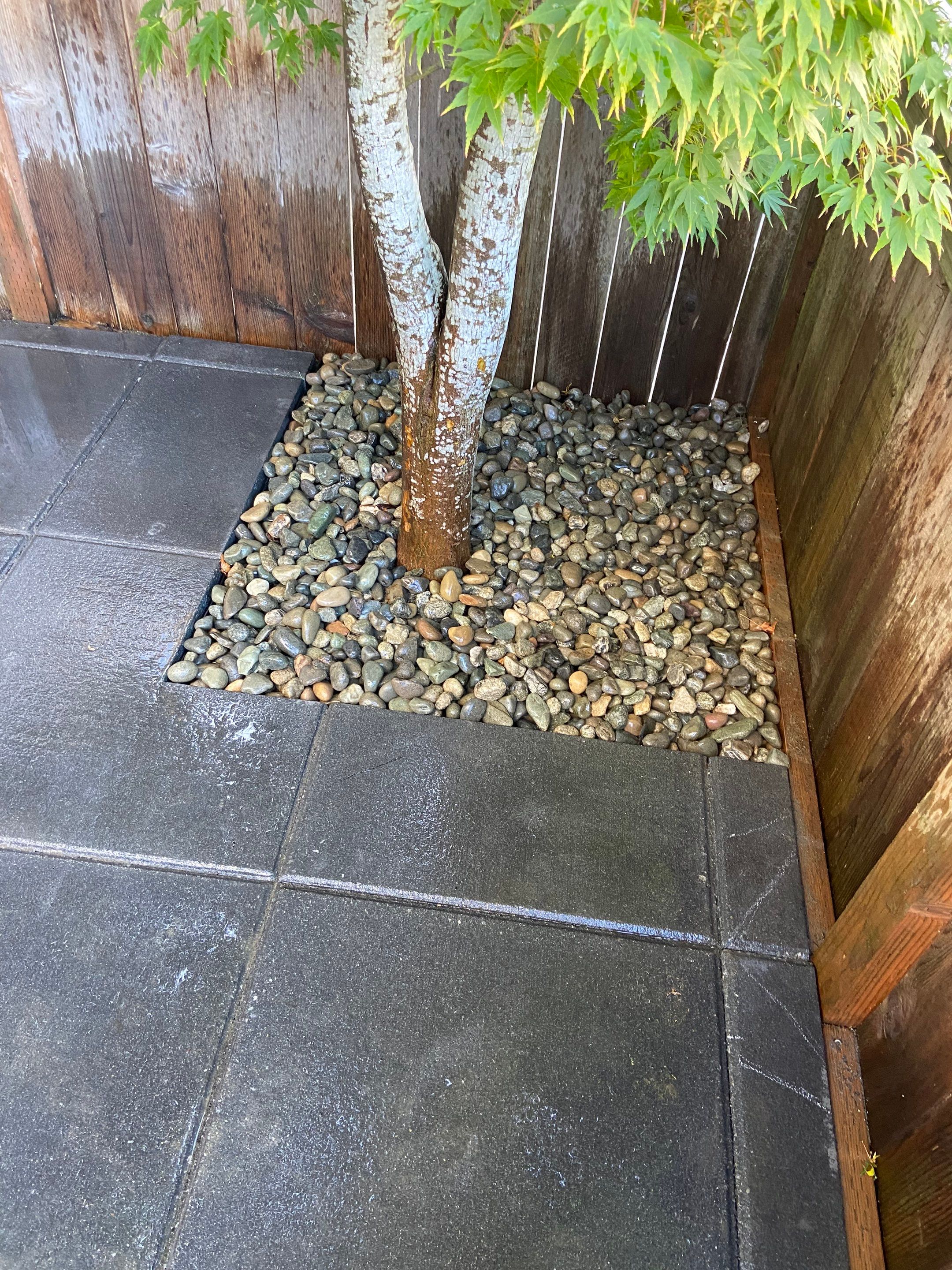 Paver Walkway & Turf Installation | Seattle  by Jireh Asphalt & Concrete Inc 