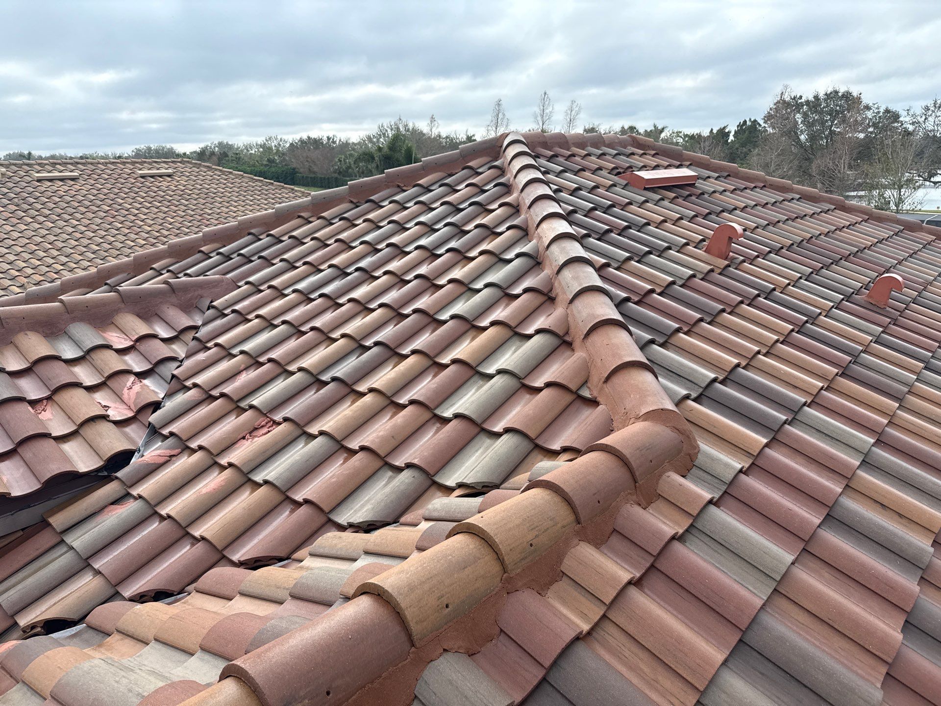 Paver Pool Deck, Driveway & Concrete Tile Roof Cleaning in River Strand, Bradenton, FL | Sunshine AquaWash by Sunshine AquaWash