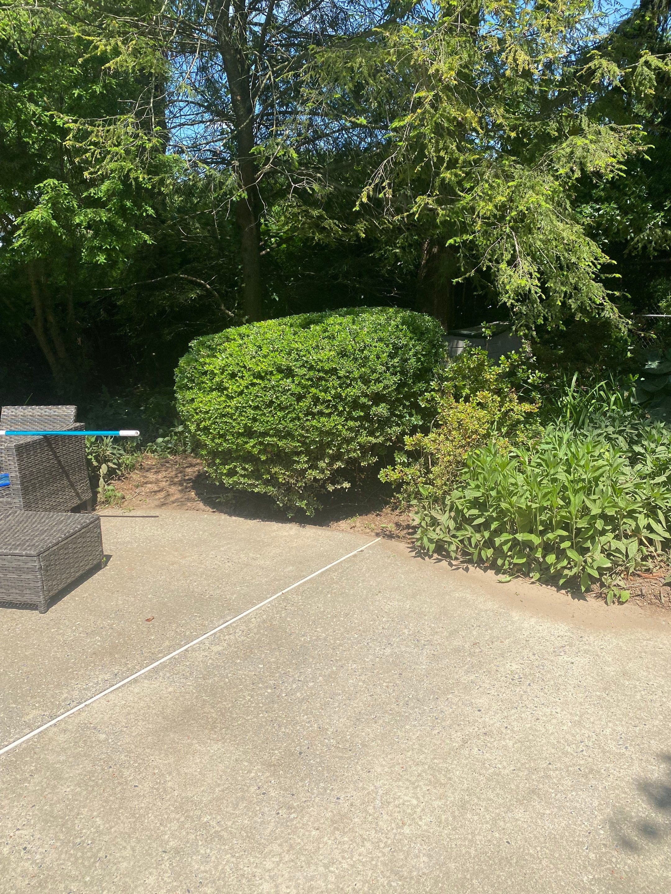Landscape cleanup & drainage by The Smet Companies, LLC