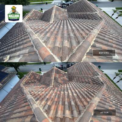 Barrel Tile Roof Cleaning