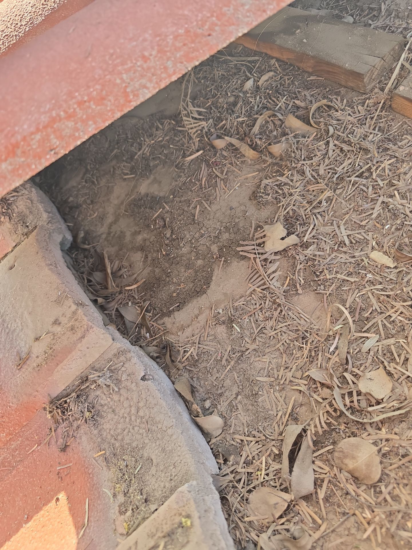 Project in Phoenix, AZ by Showtime Roofing & Coatings LLC