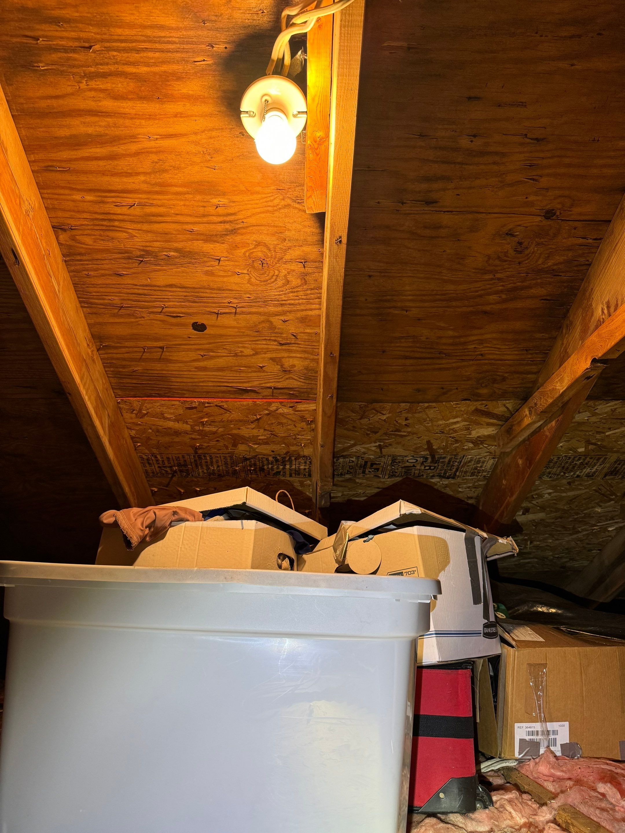 Attic Mold Remediation by Home Guarantee, LLC