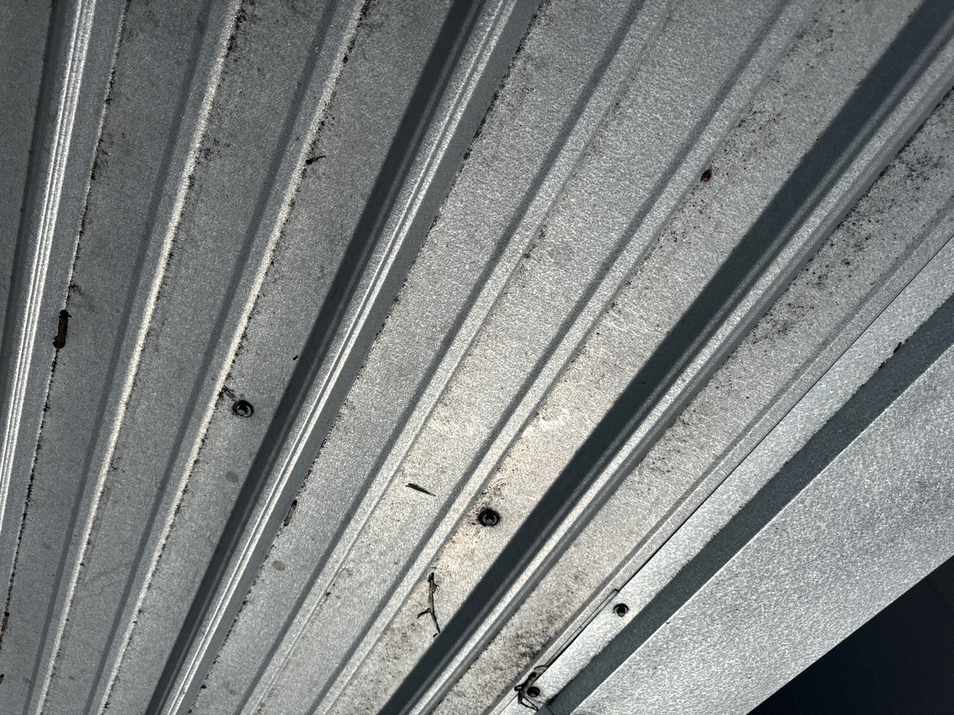 Roof Damage Claim in Brandon by FLAPA & KeyStone