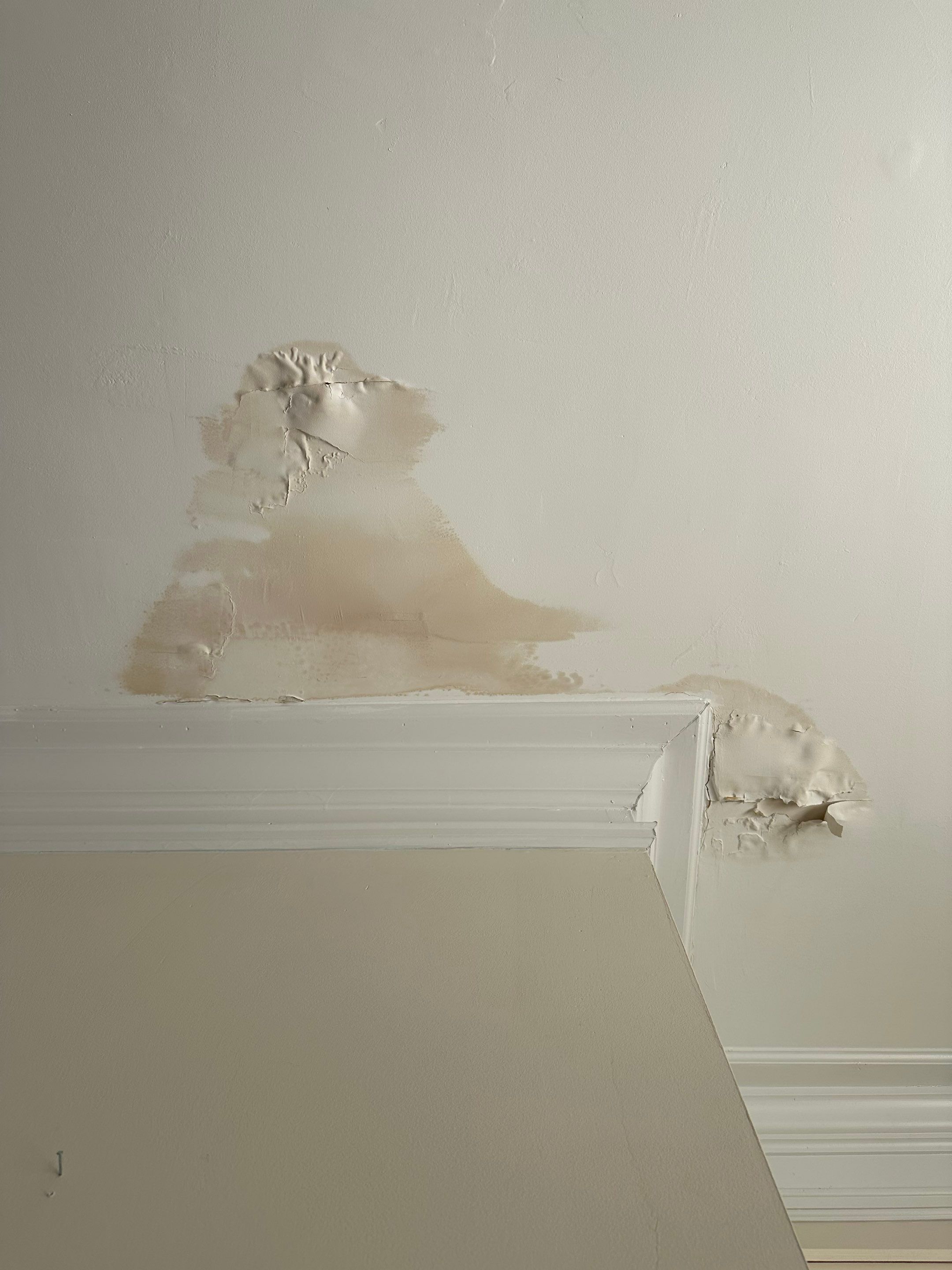 Multi-Room Interior Repairs and Painting by Praise God Painting, LLC