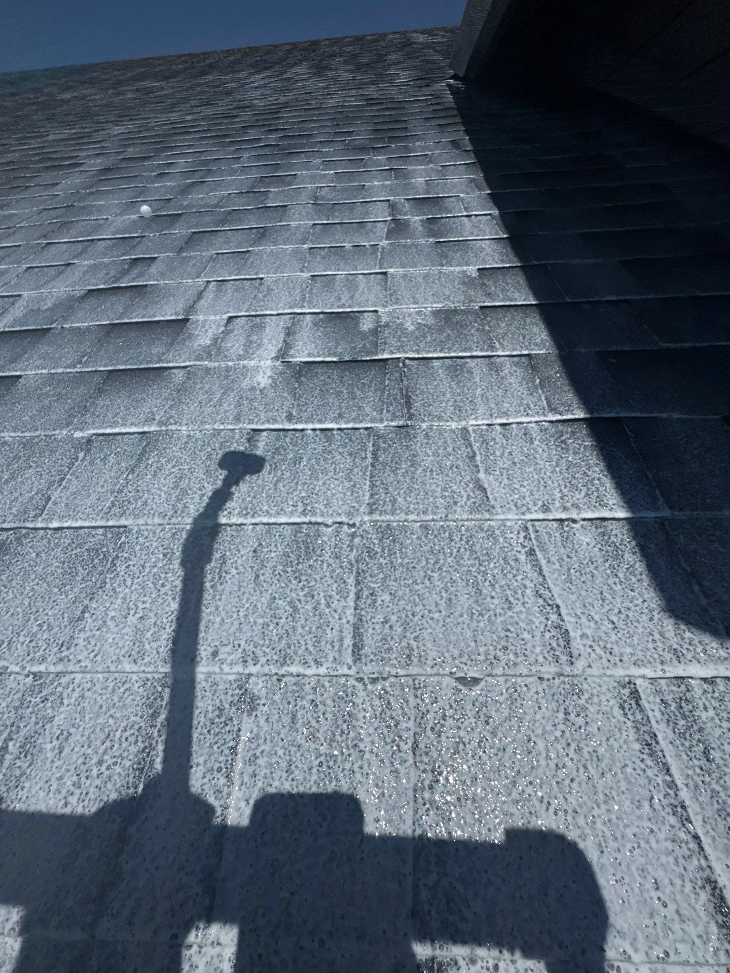 Project in Cottage Grove by Roof Maxx of Grants Pass
