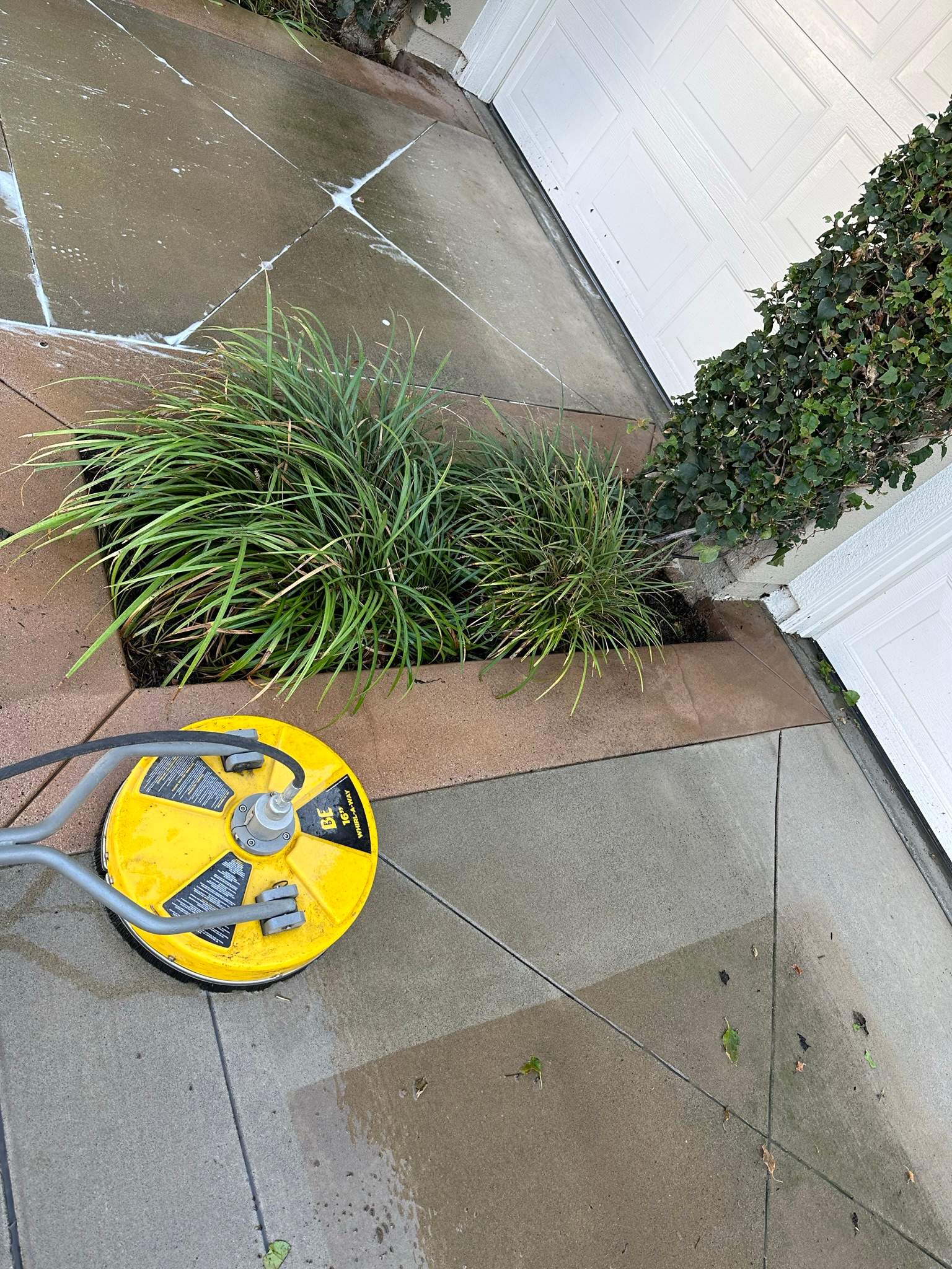 Roof wash on this dirty roof covered in algae by Property Cleaning Experts, LLC