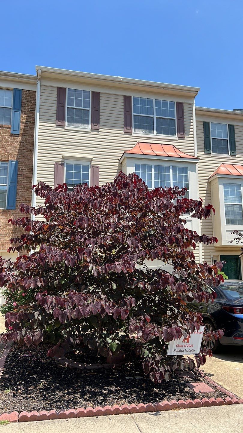 Sterling: CertainTeed Landmark Designer Shingles in Pewter by RM Banning, Inc.