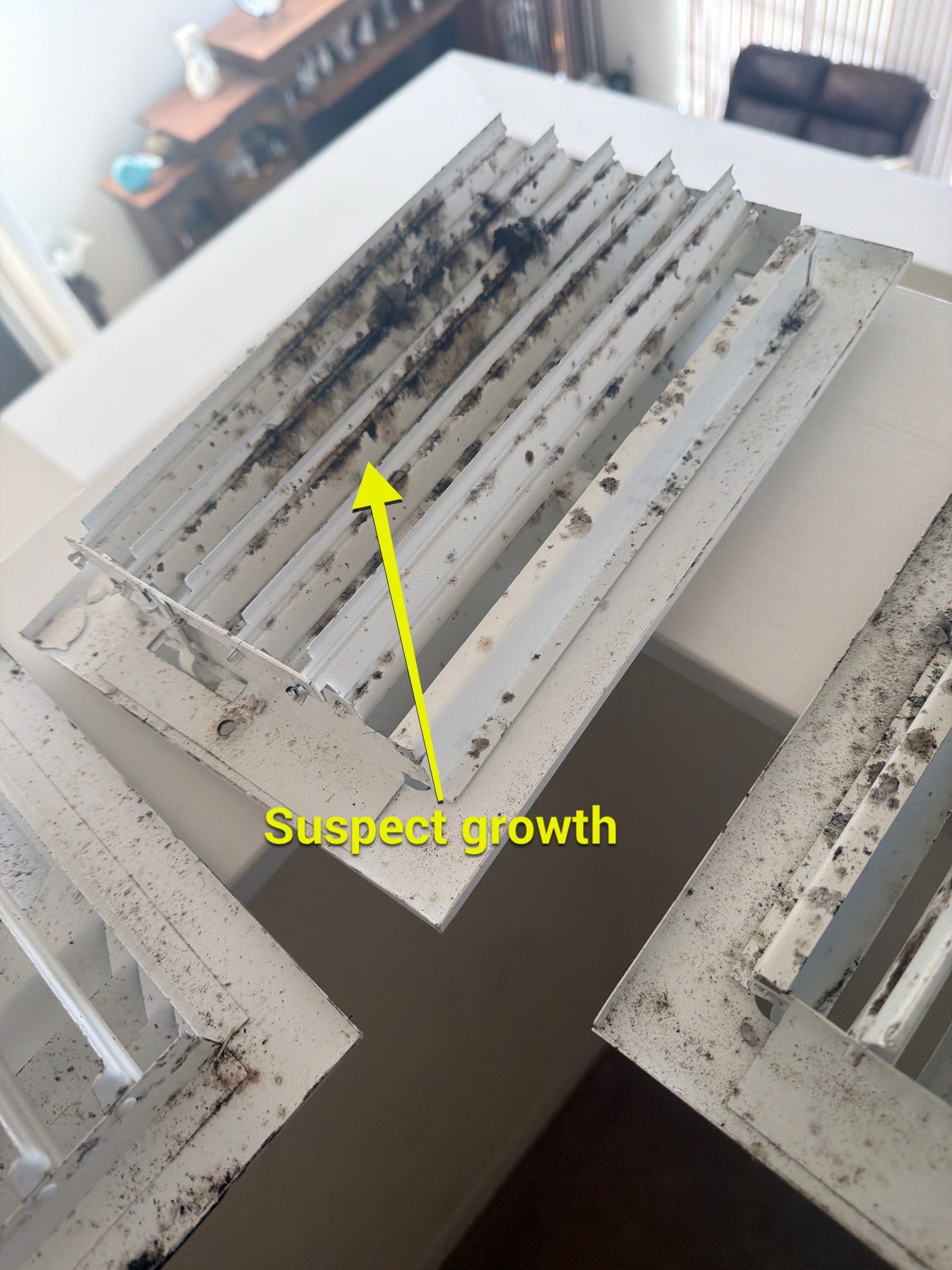 Air Duct Cleaning Encapsulation in Orlando by Hygienic Air, Inc