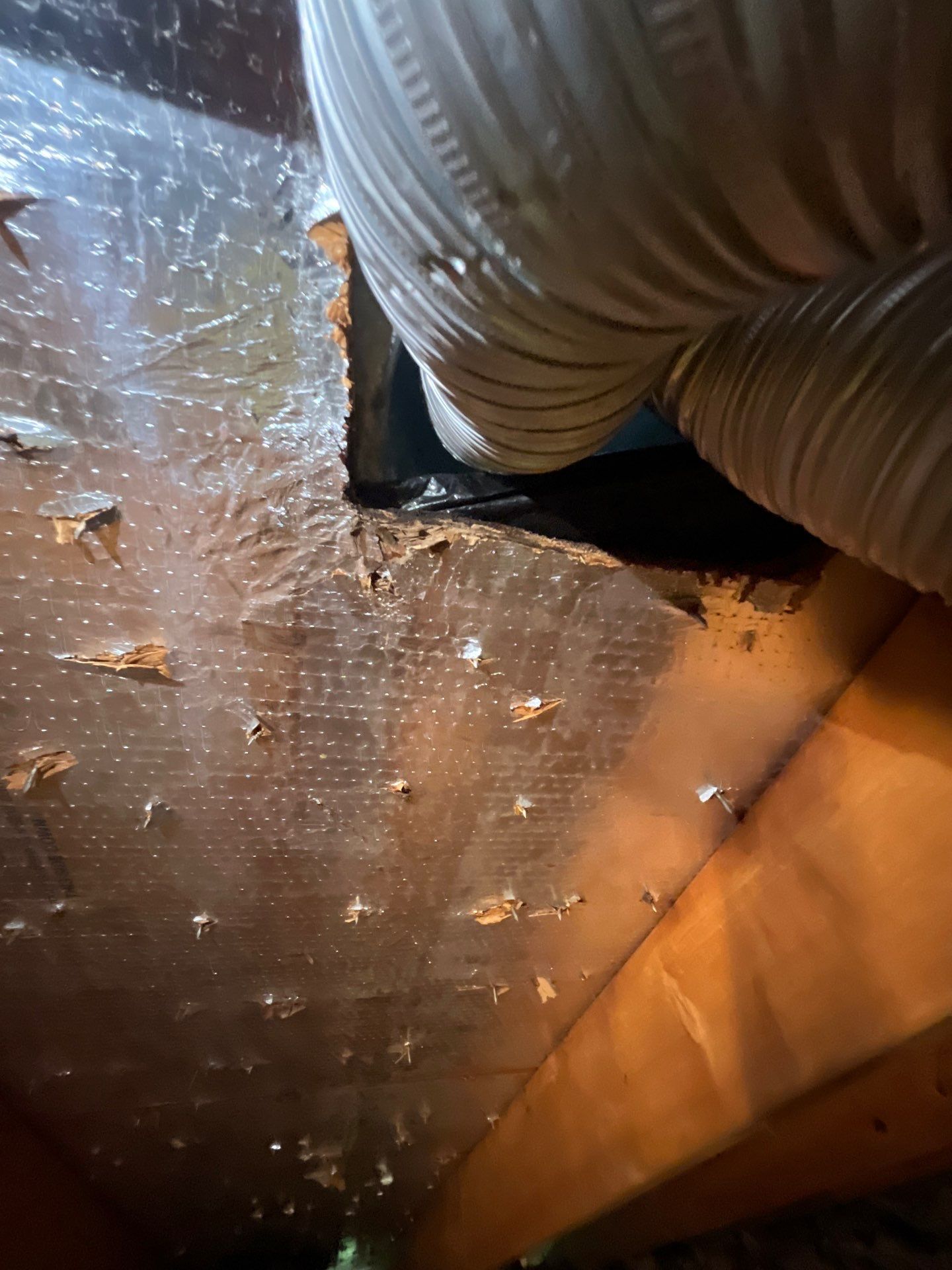 Hail Damage using Owen's Corning Duration (Lifetime) Shingles by Roof Repair Company