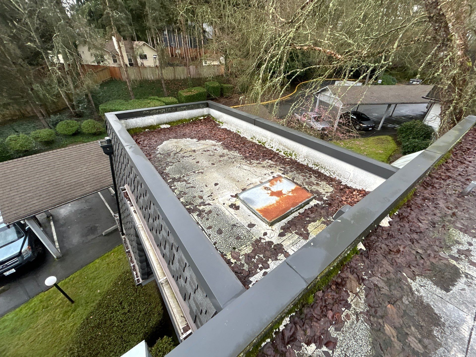 Project in Kirkland by Peaks and Valleys Construction