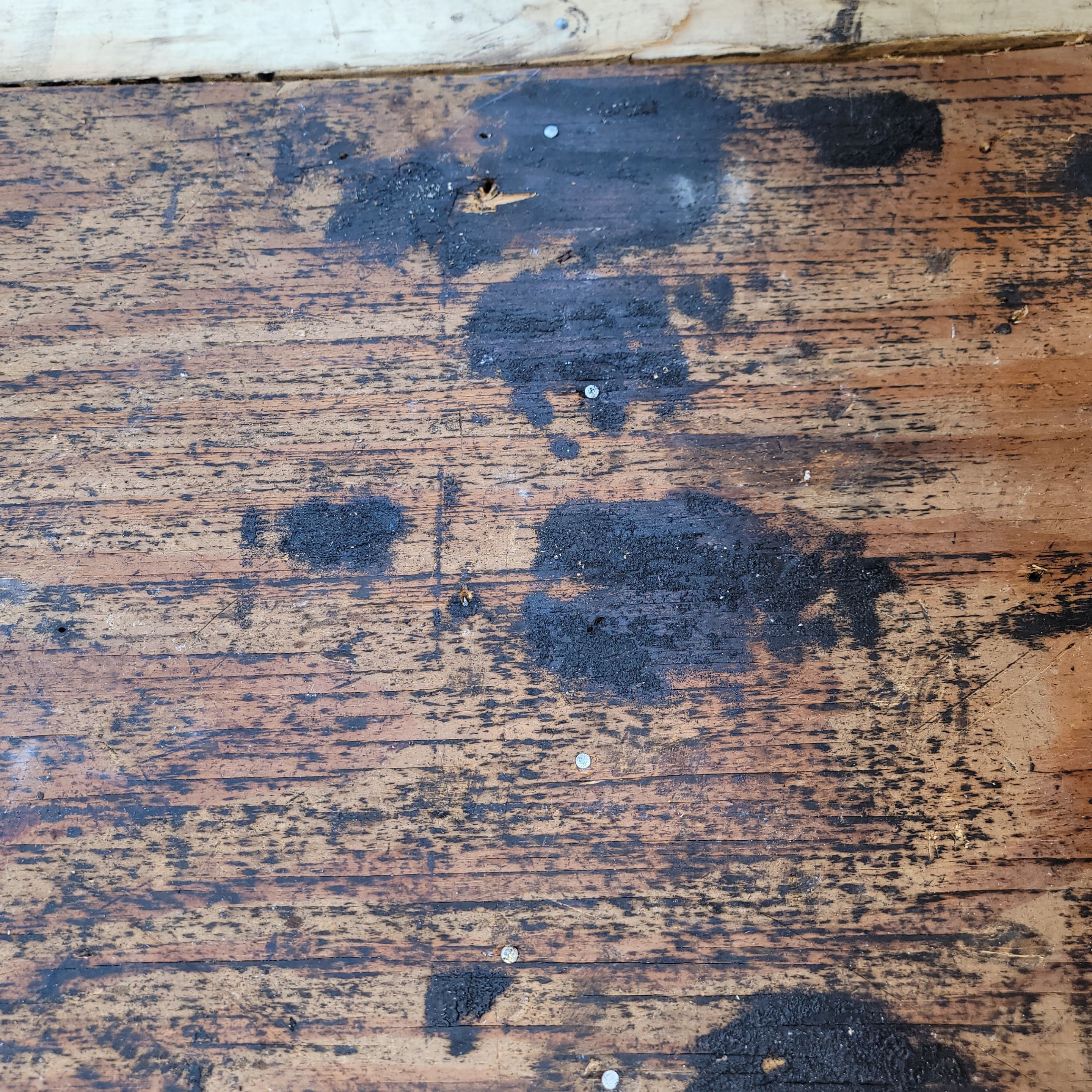 Scott St., Hollywood, FL by G&J Roofing 