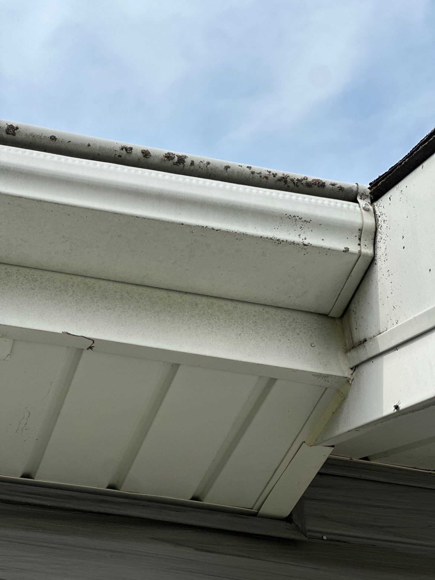 Crystal Lake Home Exterior Gutter and Siding Services by Simmons Power & Soft Washing