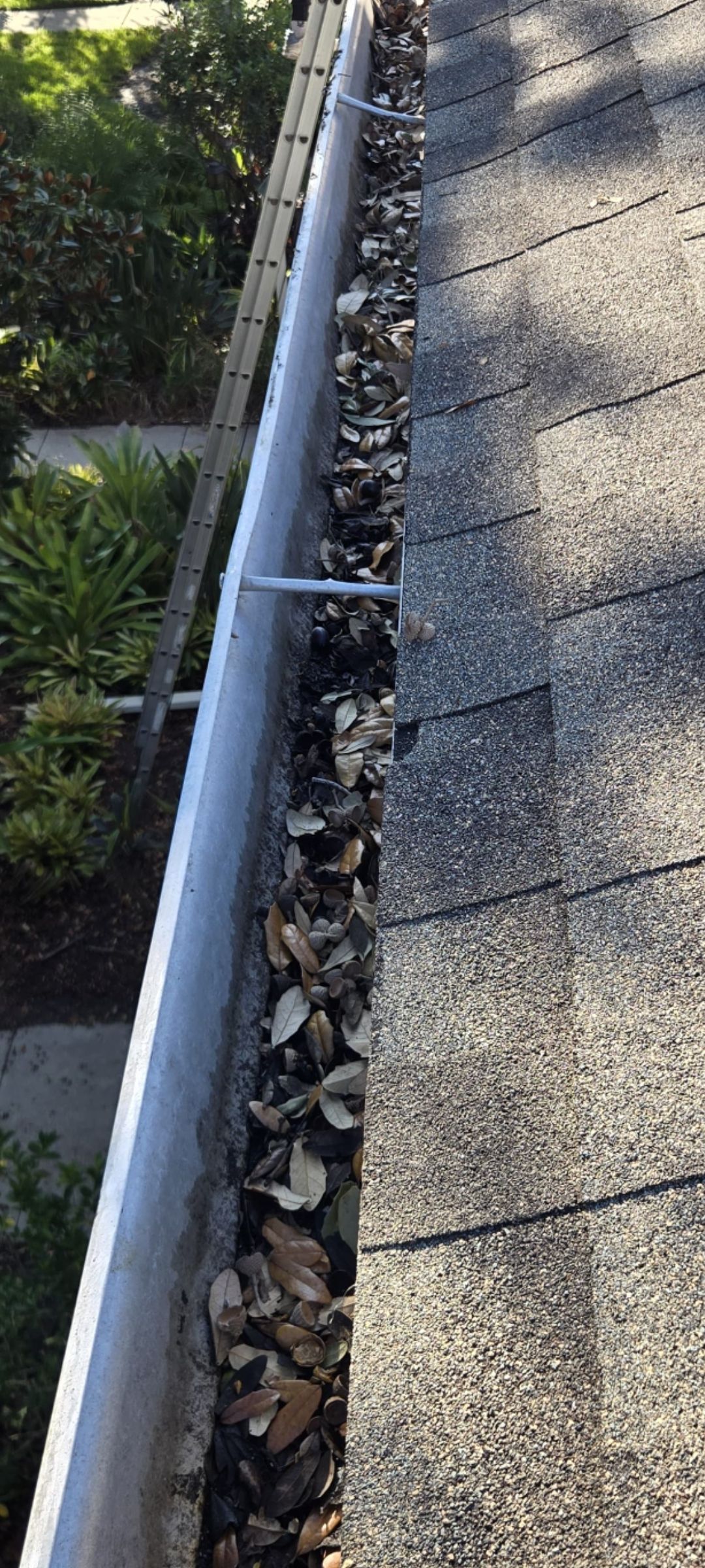 Gutter Cleaning Service in Fort Myers FL by Gutter Professors