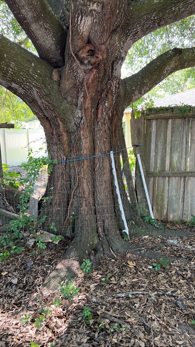 Sarasota, FL 6ft. Tall White Vinyl Privacy Fence  by Asap fence and gates, LLC