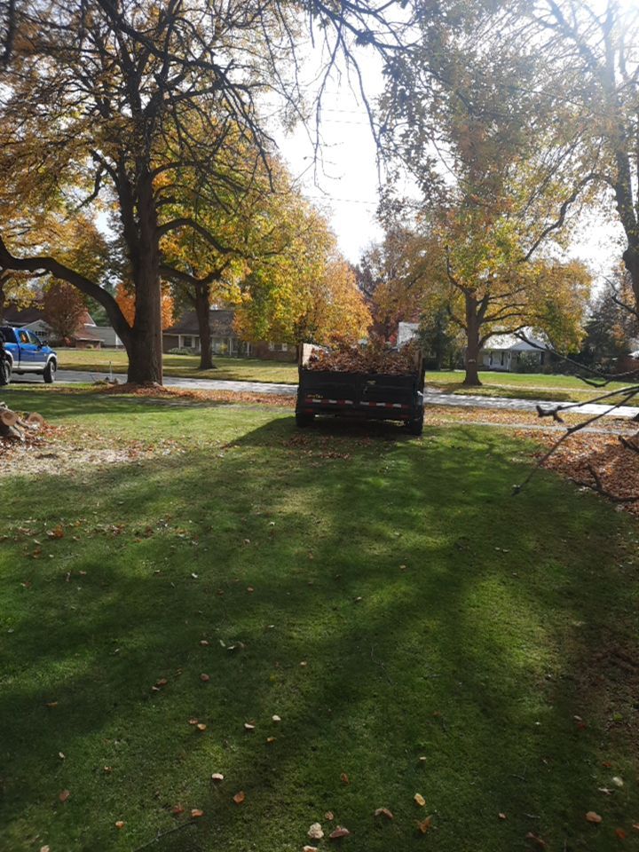 Tree Removal using Tree Removal by Mike Jones & Sons Tree Service LLC 