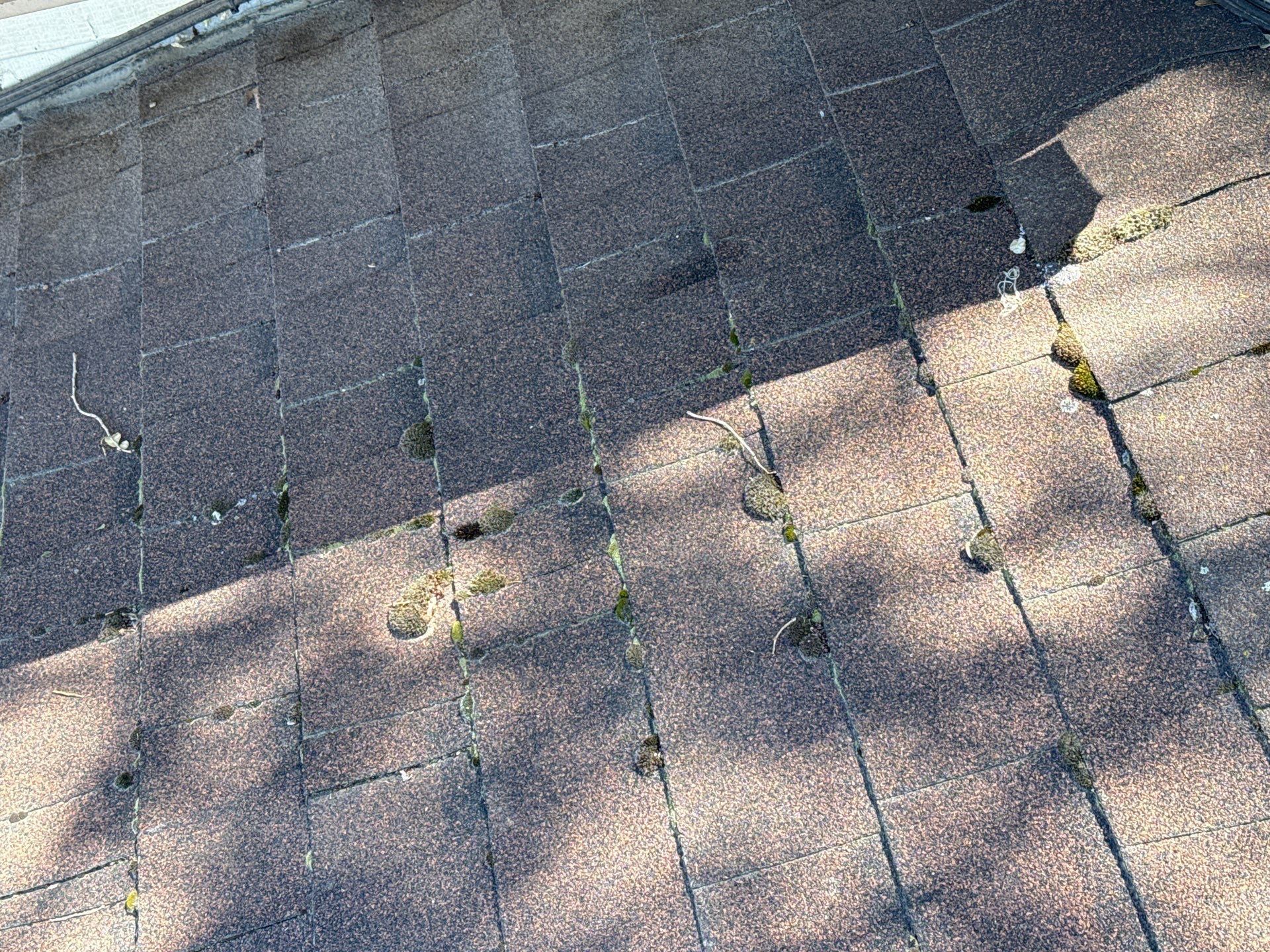 Residential Roof Replacement and OSB Decking Installation in Boise by Olive Roofing