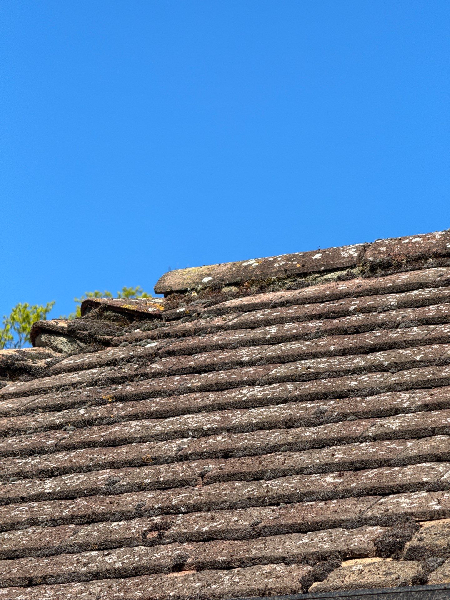 Roof Patio Driveway Clean using Mosmatic FSC and Biocide by Ges Exterior Cleaning ltd