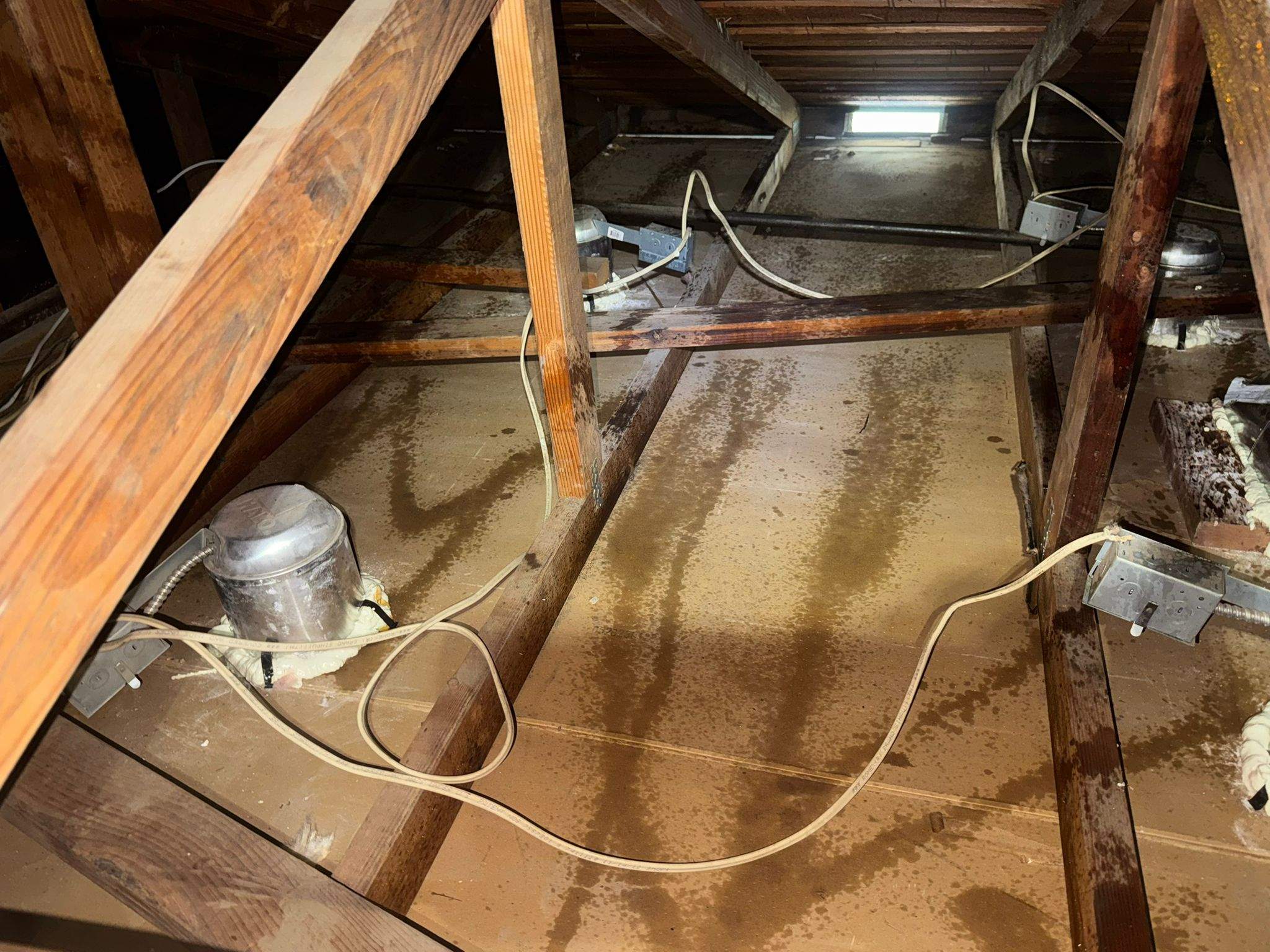 Project by Advanced Attic Solutions by Advanced Attic Solutions