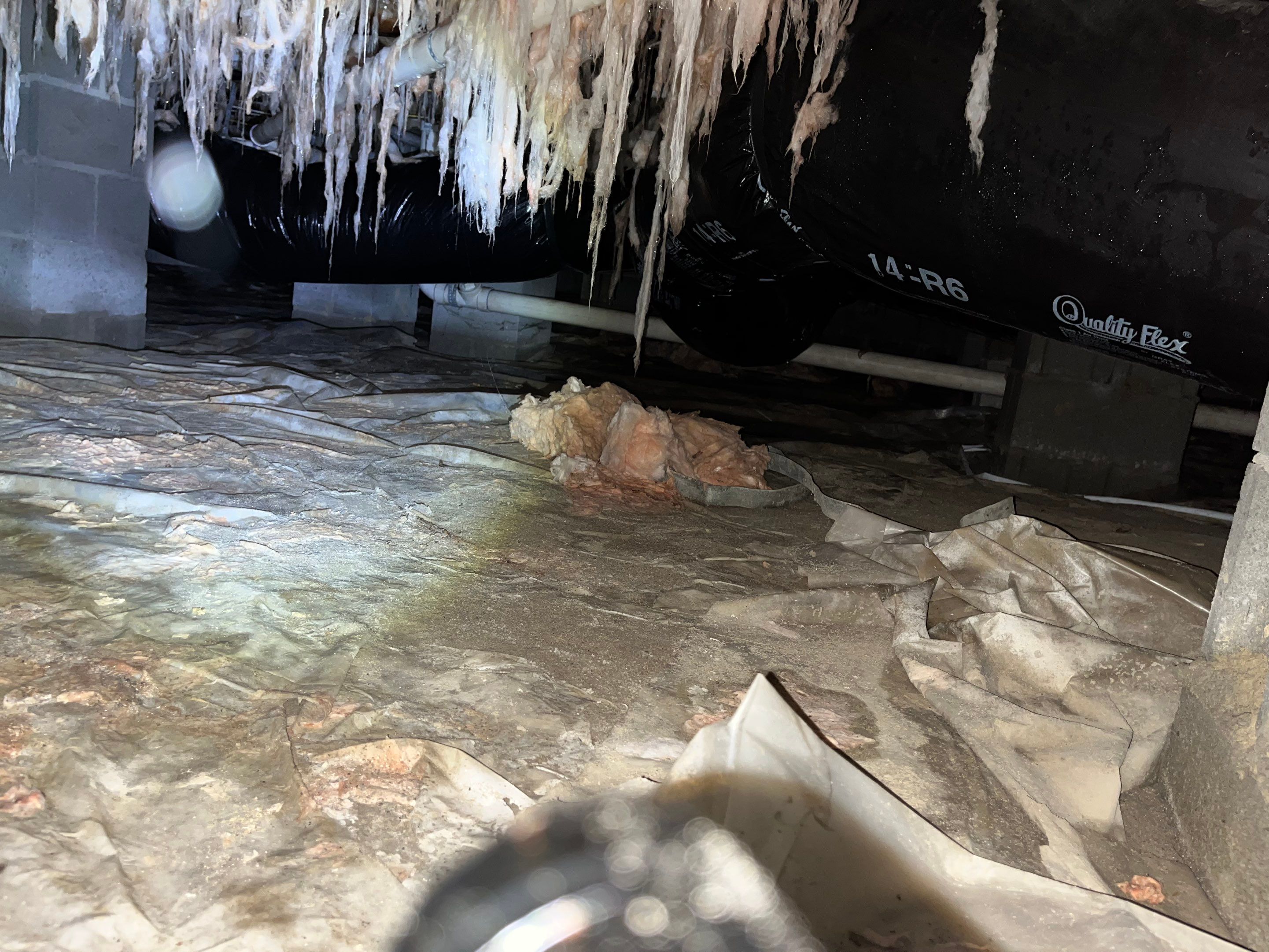 Premium Encapsulation with Bora-Foam using Bora-Foam Insulation by Impact Crawlspace