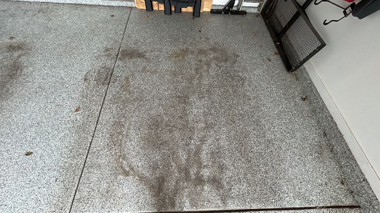 bluestone using Algaecide, soft wash soap by Northern Power Washing LLC.