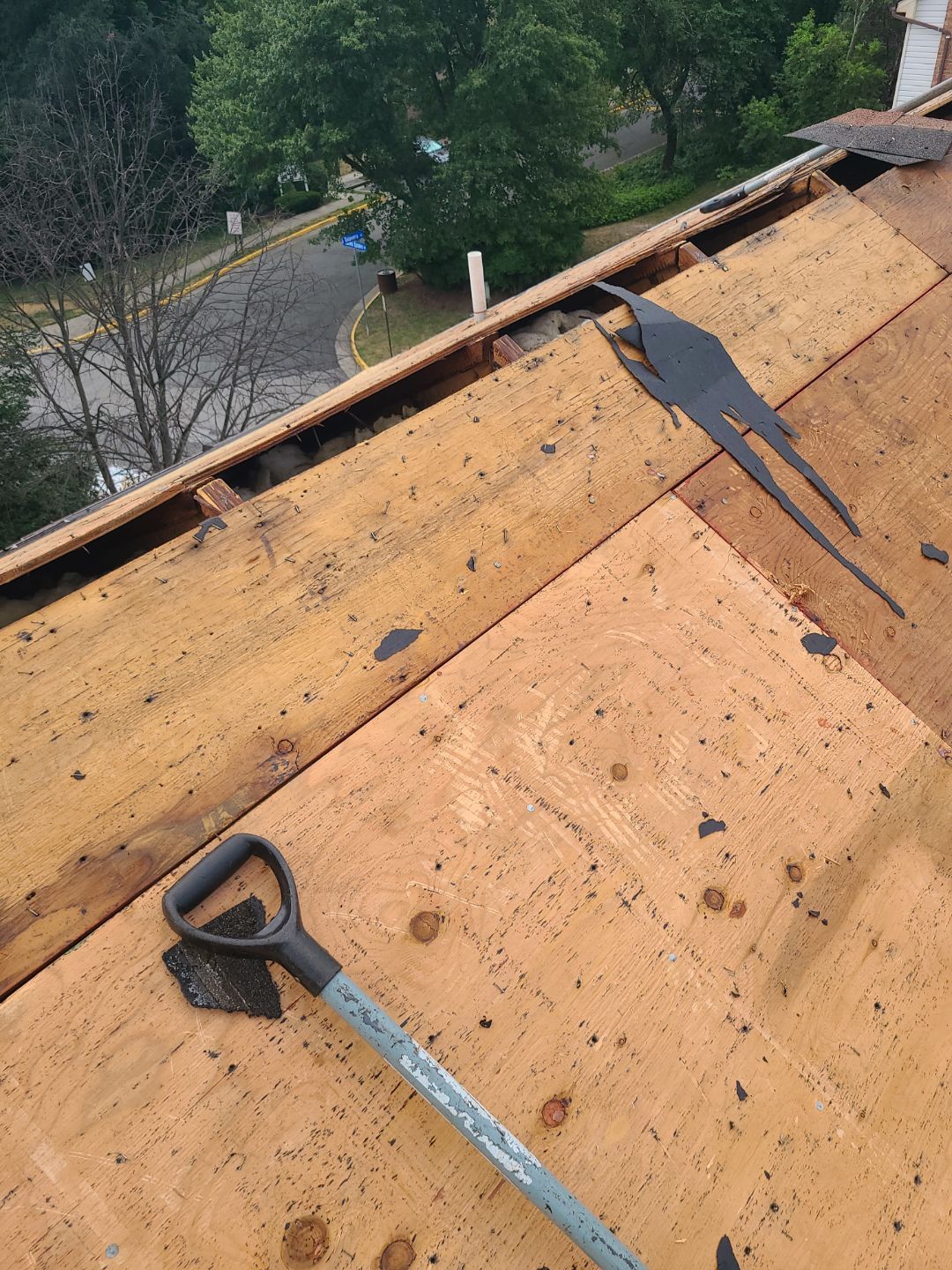 Alexandria: Roof Replacement with CertainTeed Landmark Pro in Max Def Burnt Sienna by RM Banning, Inc.