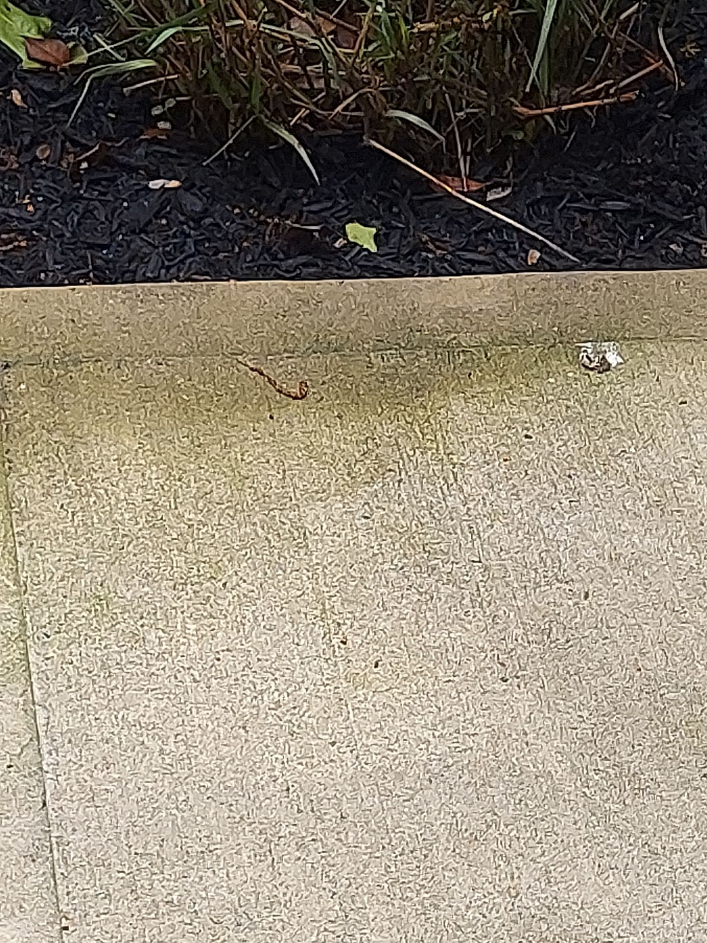 Brielle, NJ by Clearview Washing