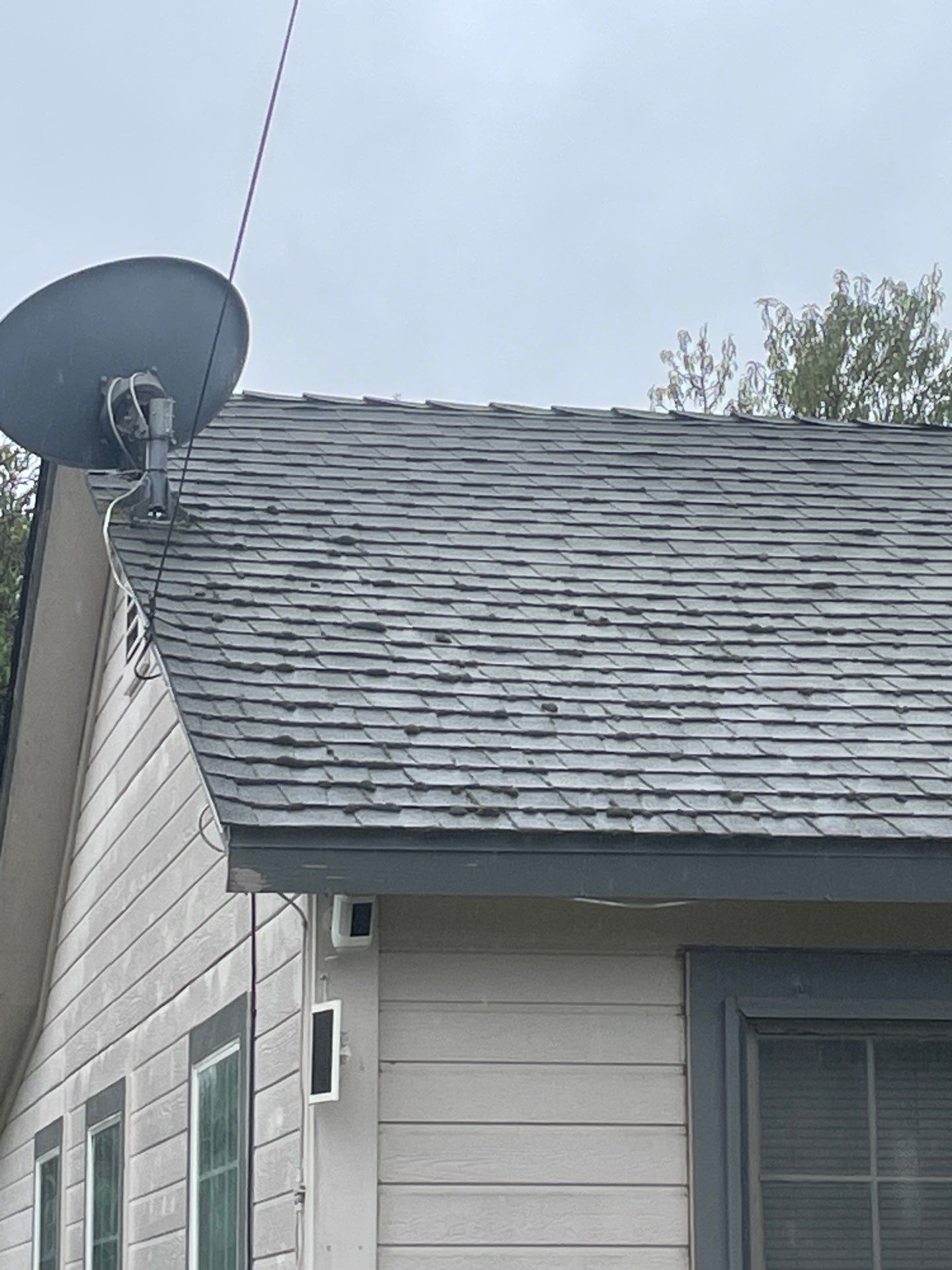 Roof Rejuvenation using Roof Maxx Treatment by Roof Maxx of Folsom