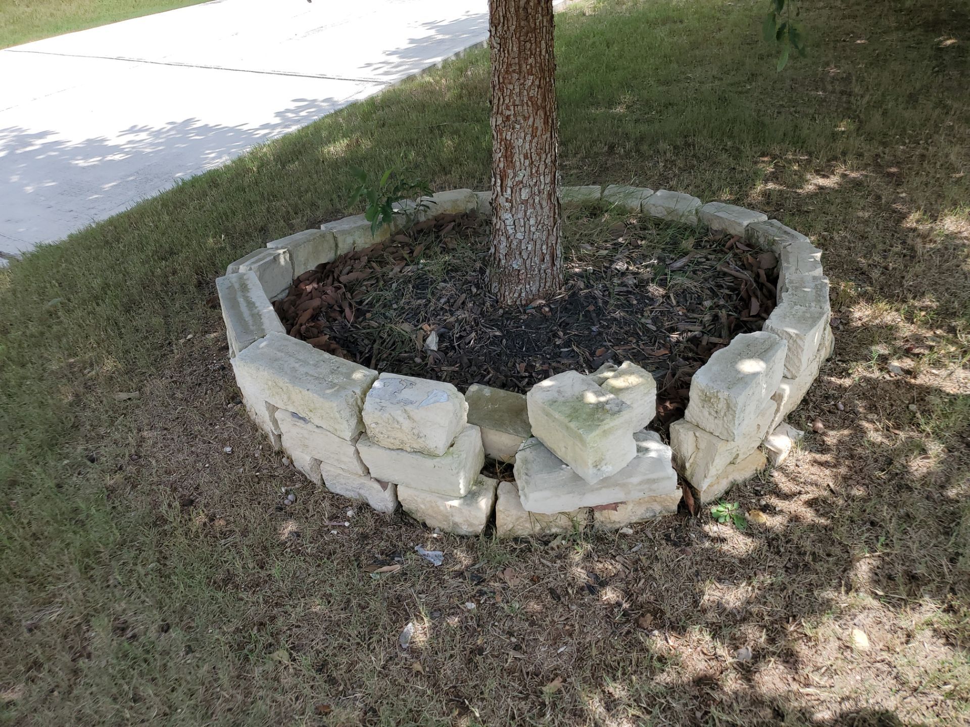 Wortham Oaks - San Antonio, TX by Hole In One Lawns, LLC