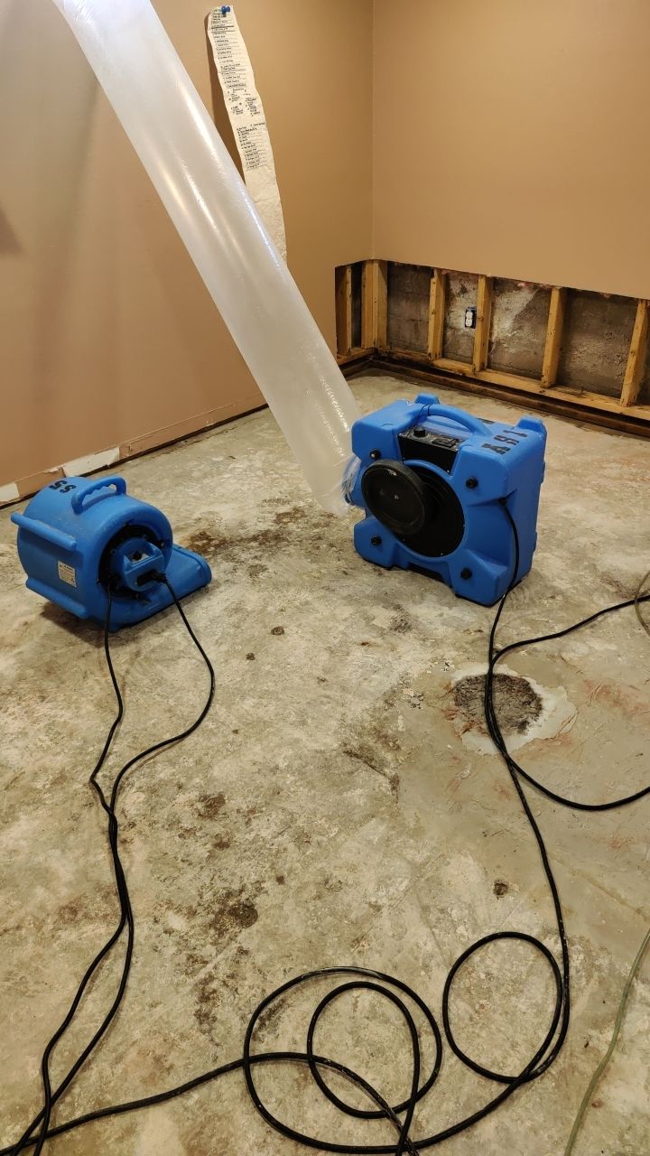 Water Damage and Mold Remediation by Accountable Home Services